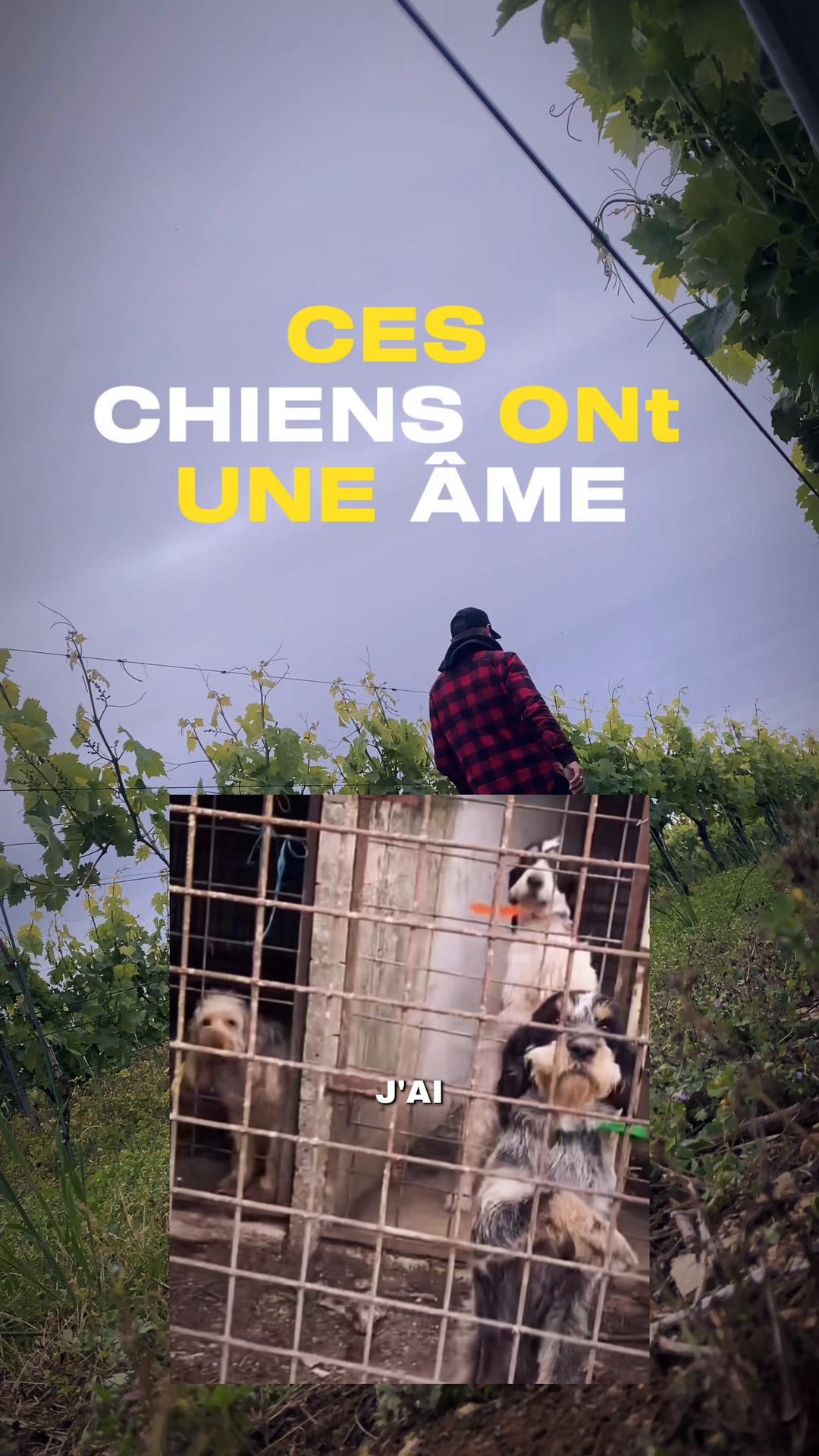 @leguerriereveille