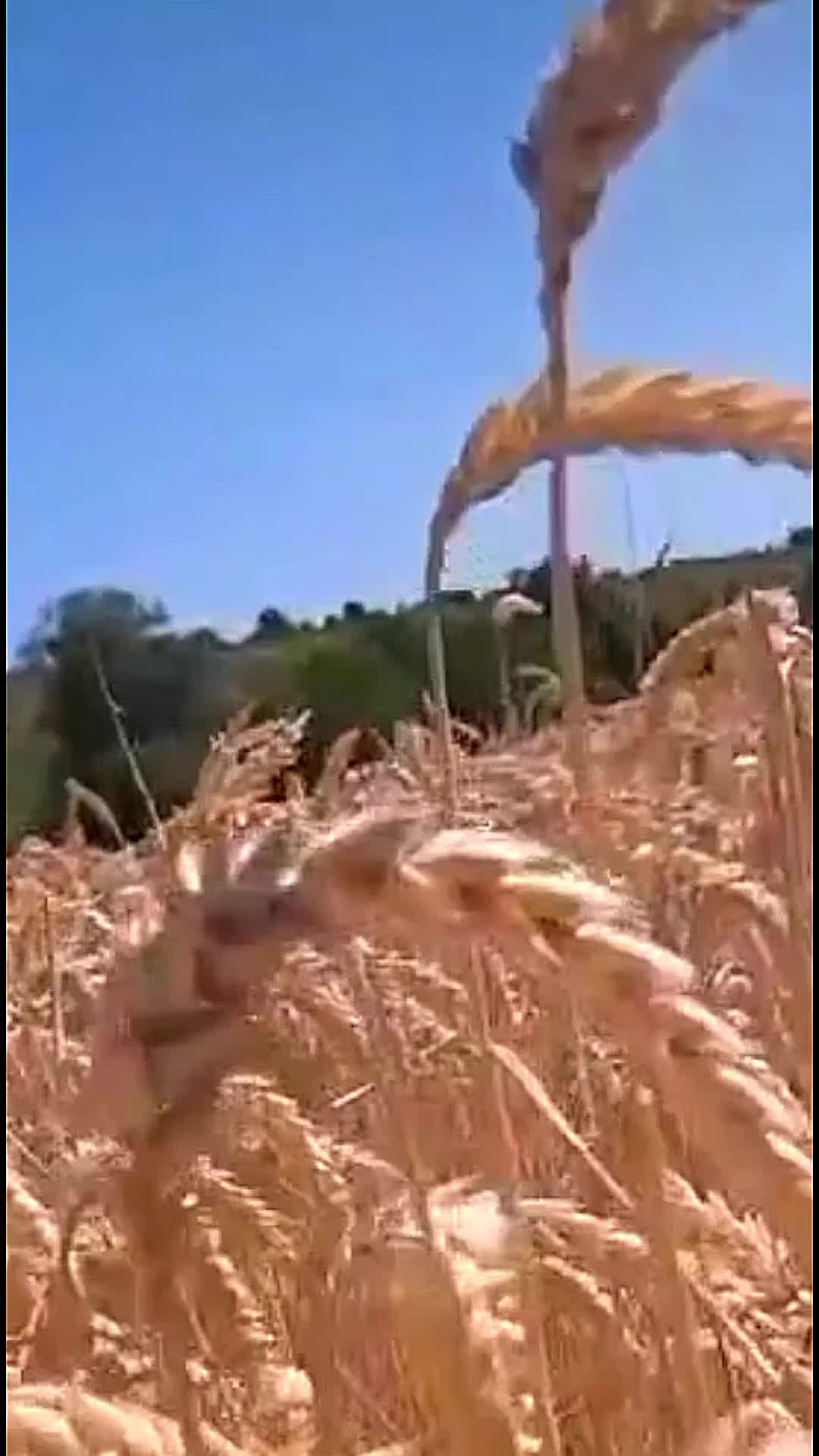 @user1675550211969