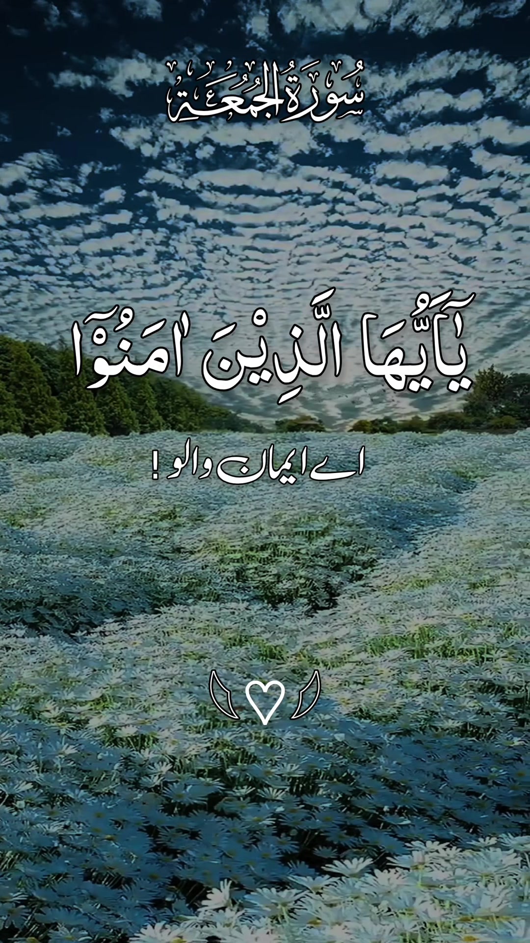 @❣️ Words of Allah ❣️
