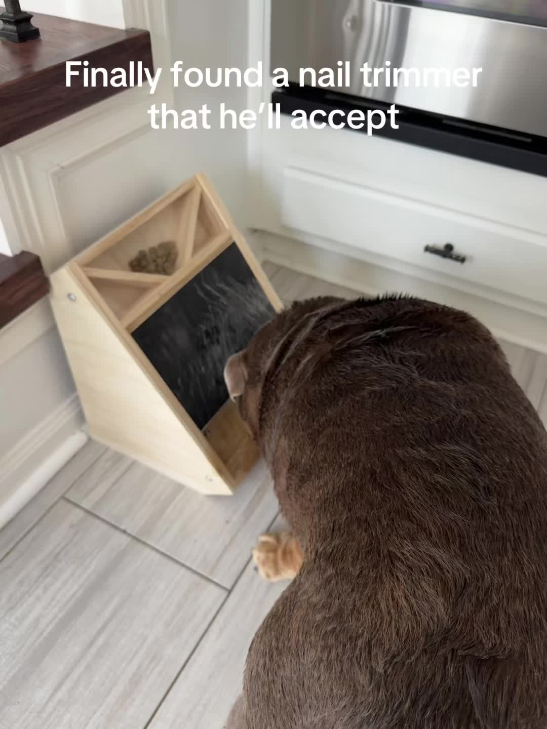 @RawlsTheBulldog