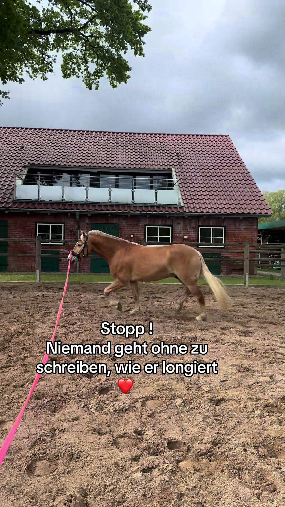 @Lena Dibbern