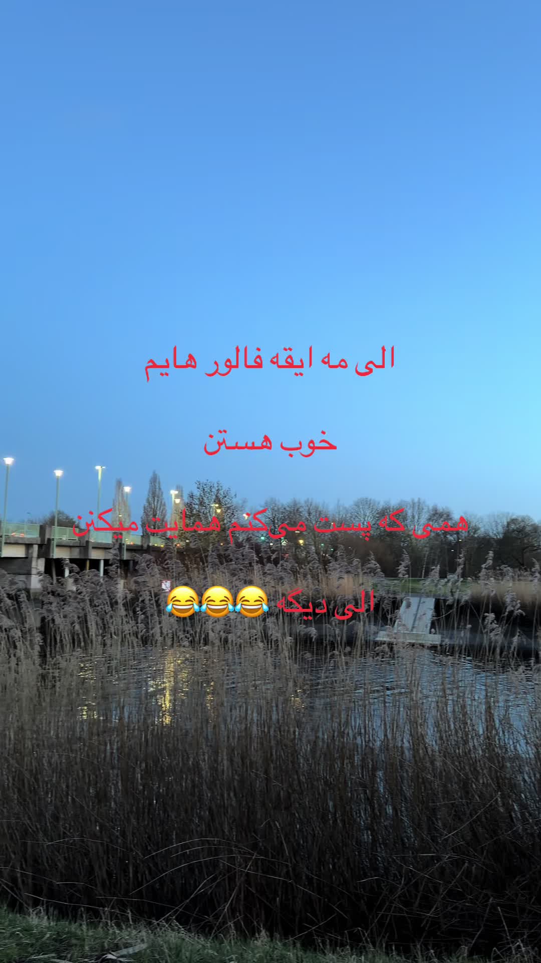 @Fatemabakhshi