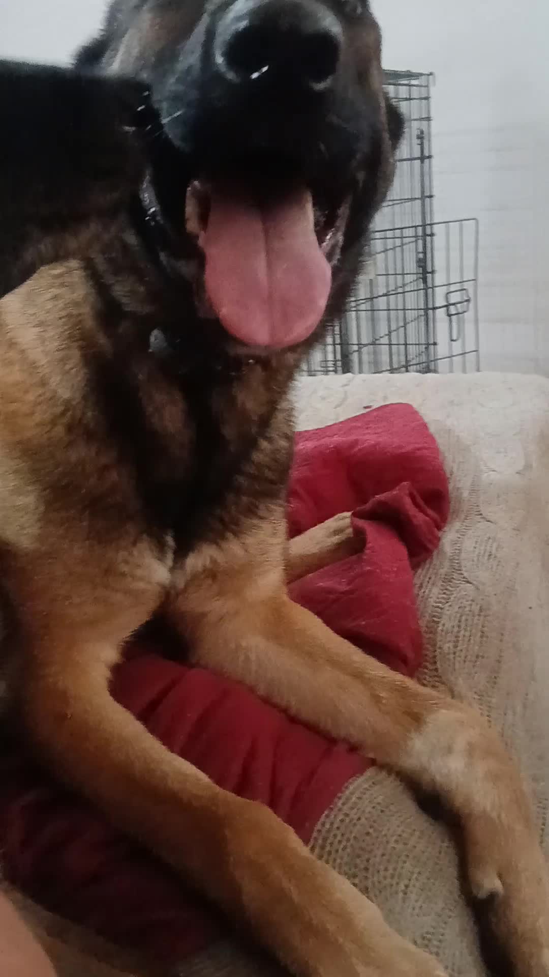 @Natalie Thatmalinoislady