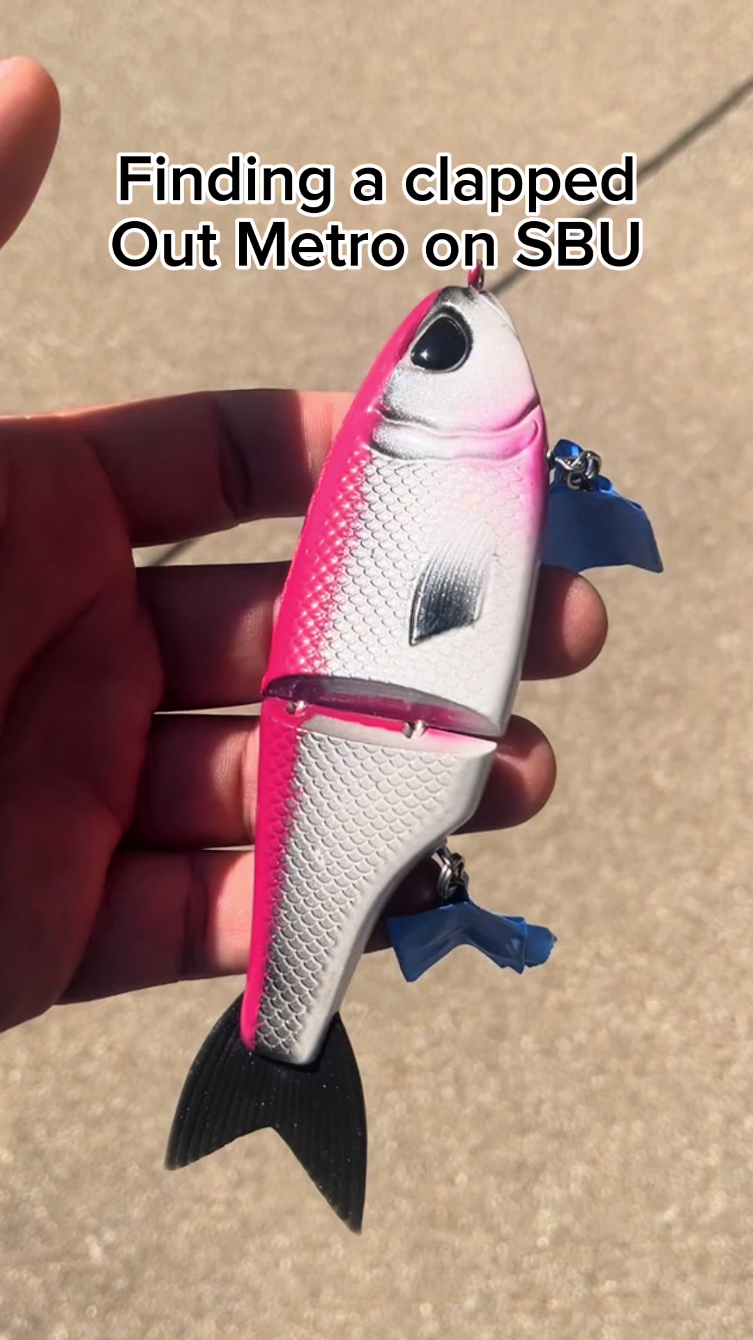 @DTFishin