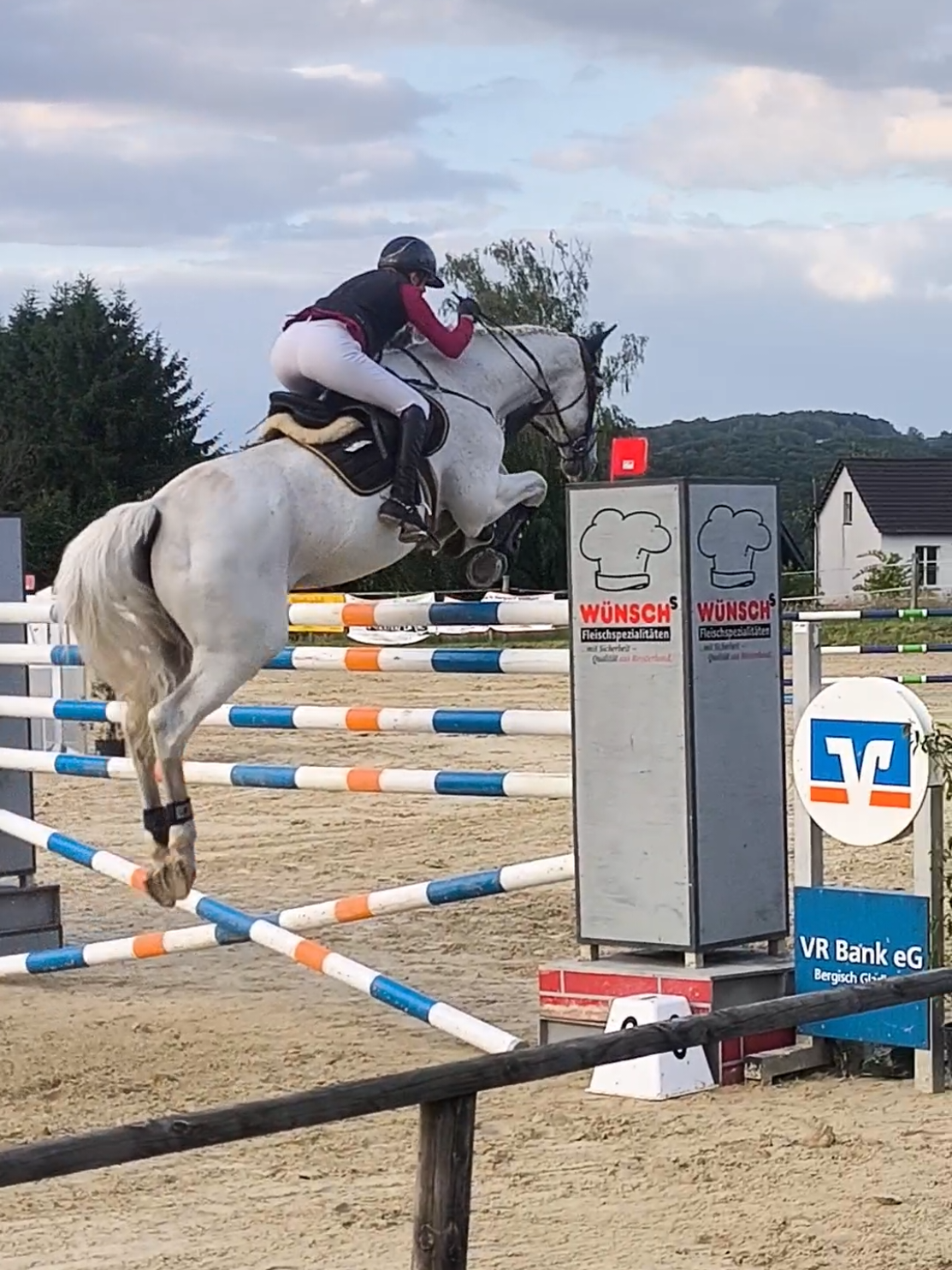 @Spring"Pony"Casha