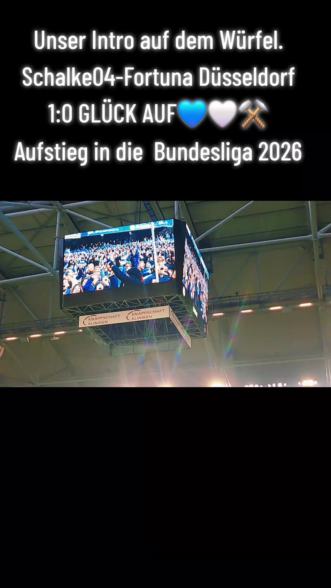 @Nullvier💙🤍⚒️