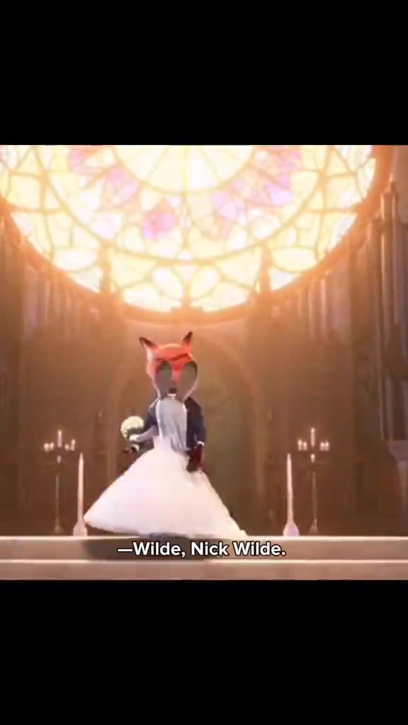 @Zootopia_videos