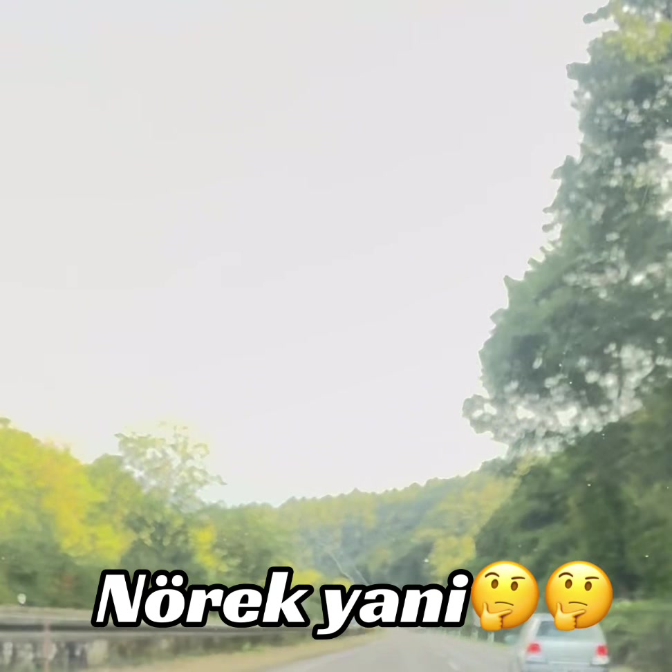 @Asya 38
