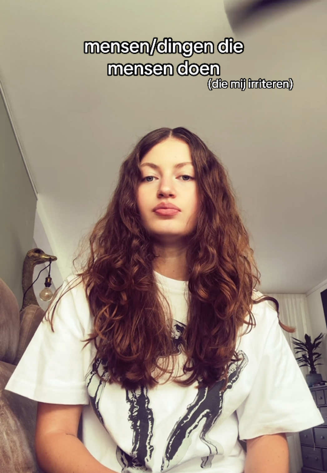 @ztje