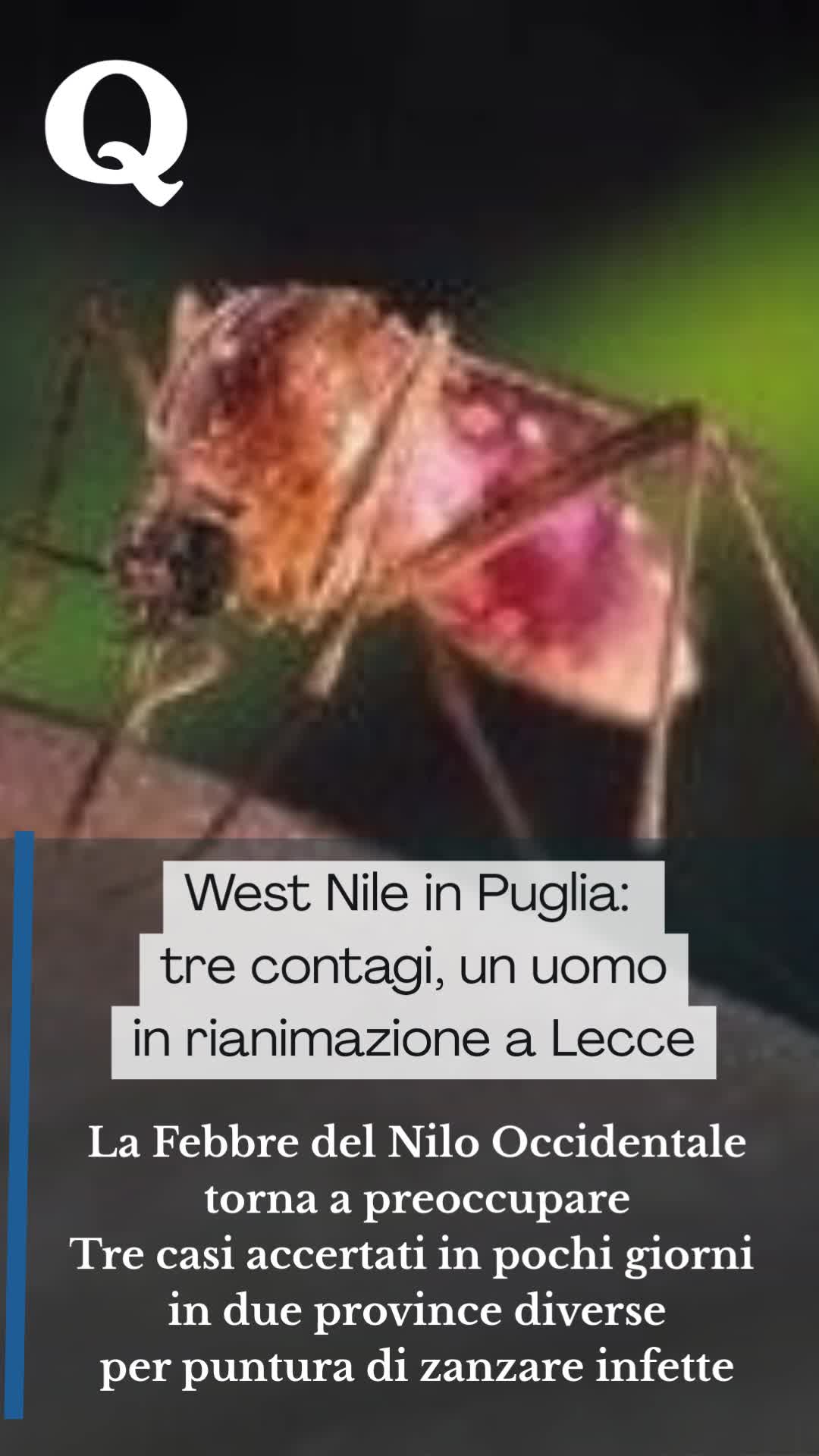 @Quotidiano di Puglia