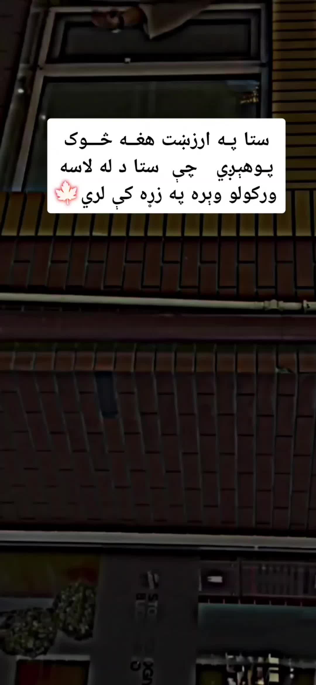 @💔🌿Laghmani