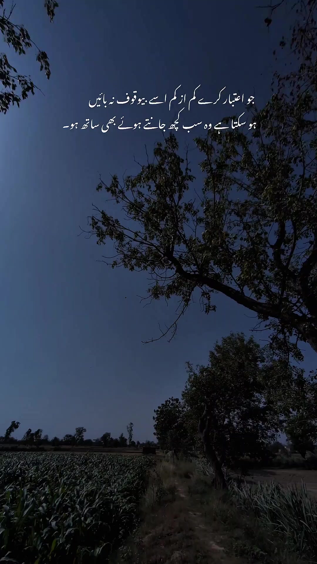 @ــــہہـ٨ــ&hearts;️ـــہہـ٨ـ