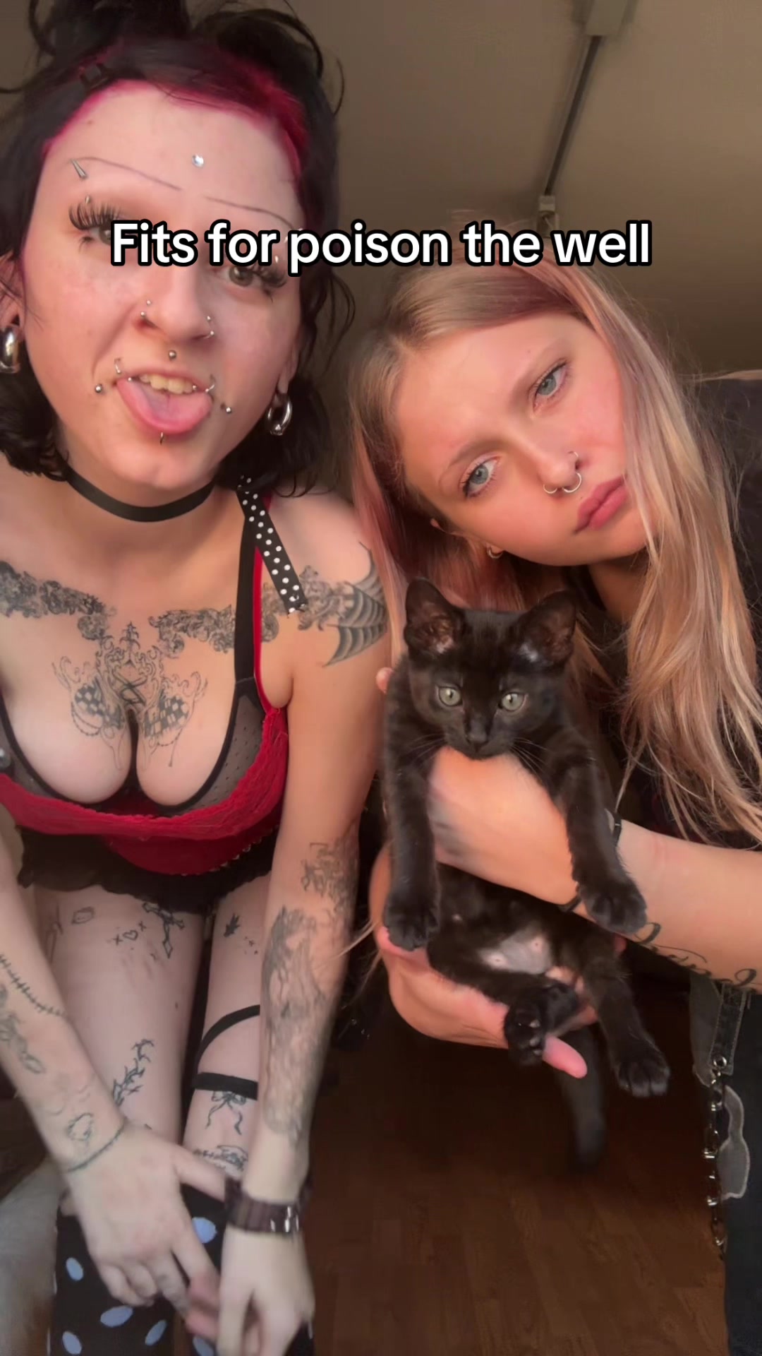 @🏴☠️stellapoo🏴☠️