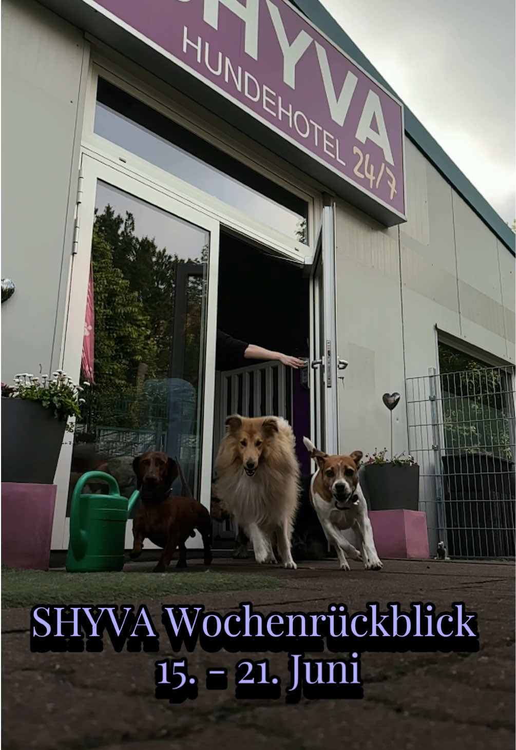 @Shyva Hundezentrum