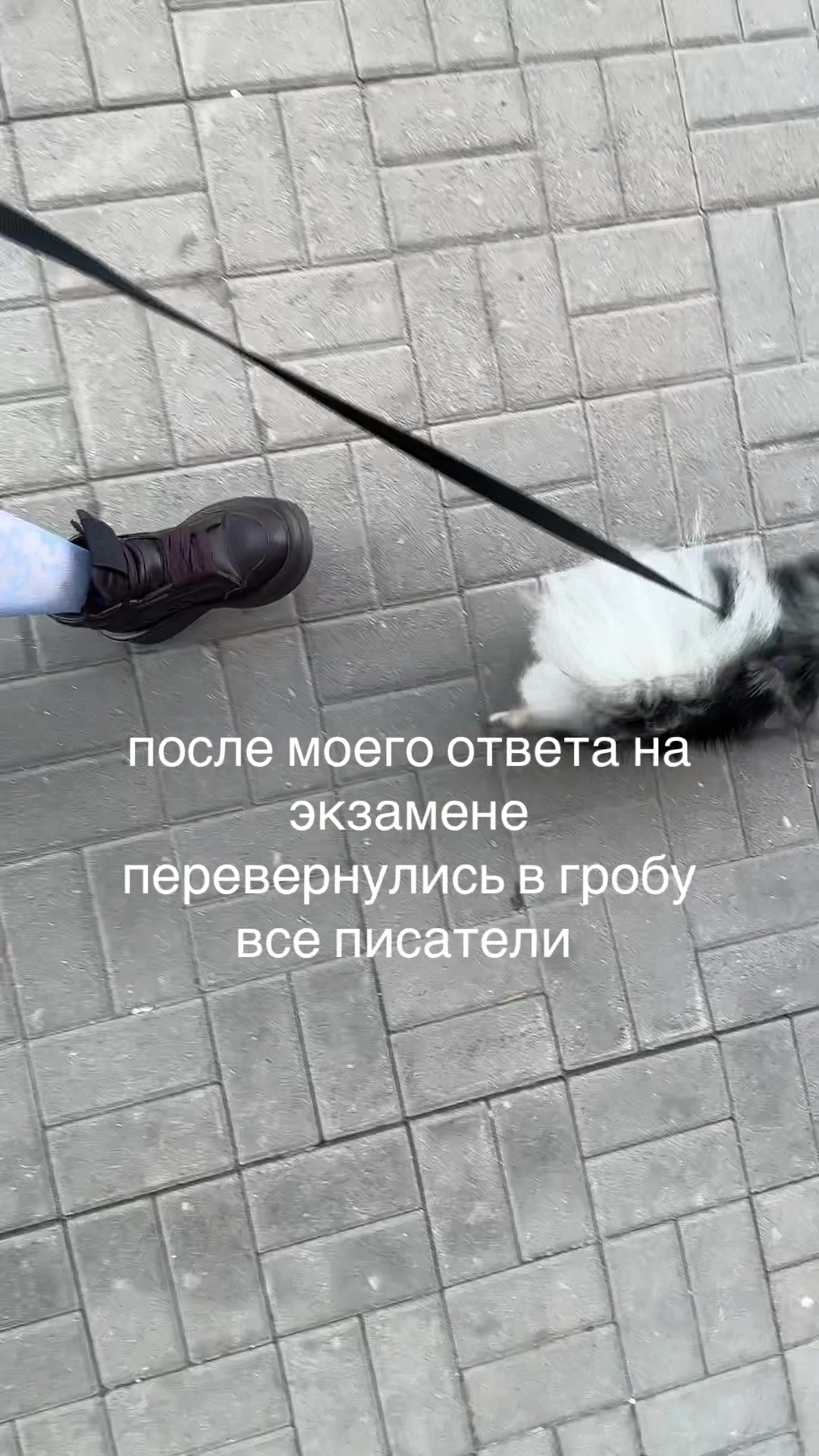 @r&eacute;flexion
