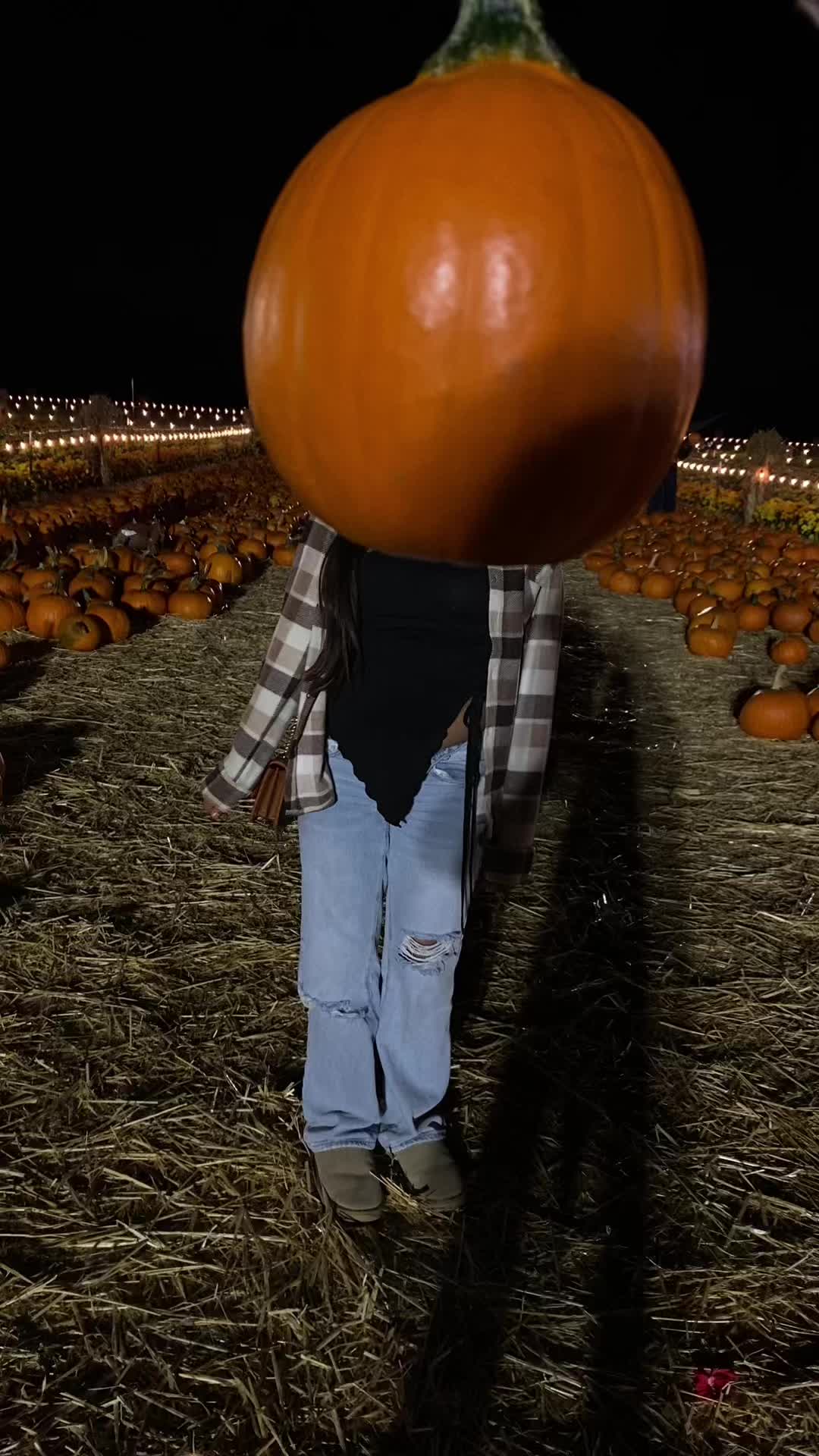 @filome250