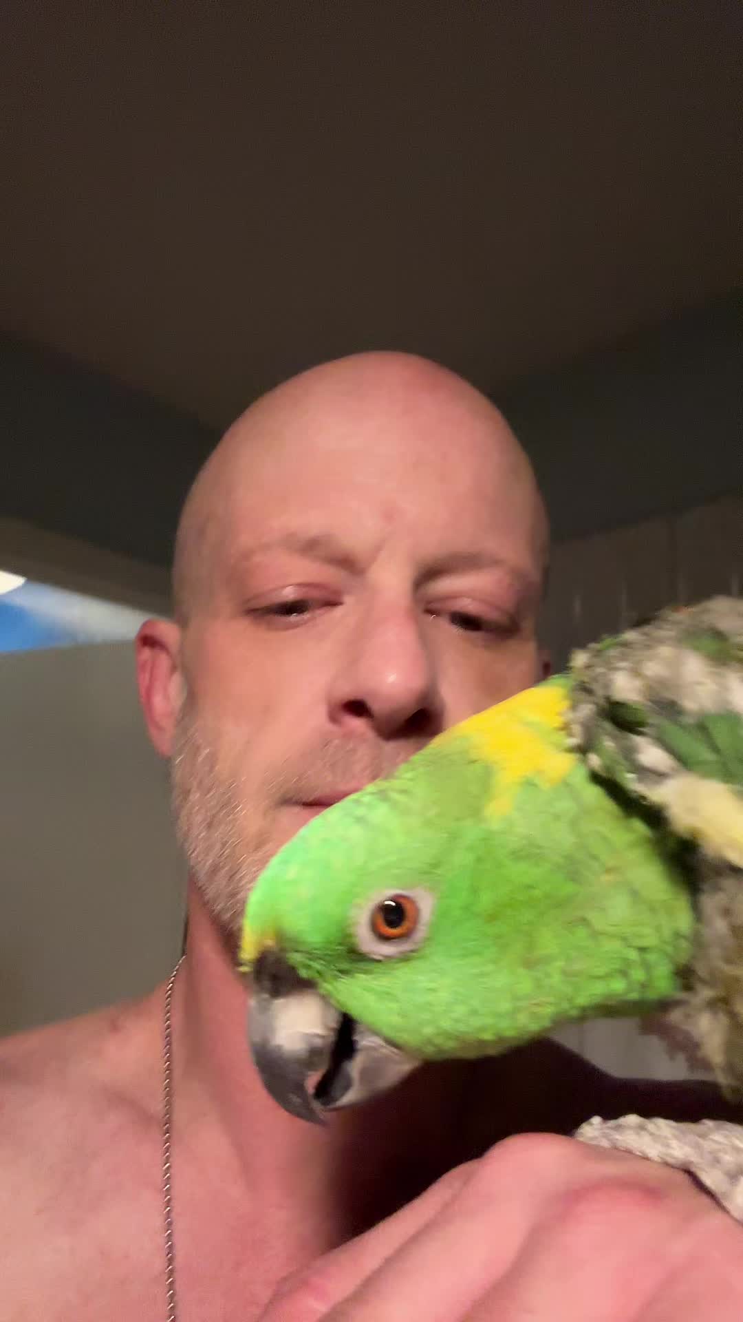 @joshinchains