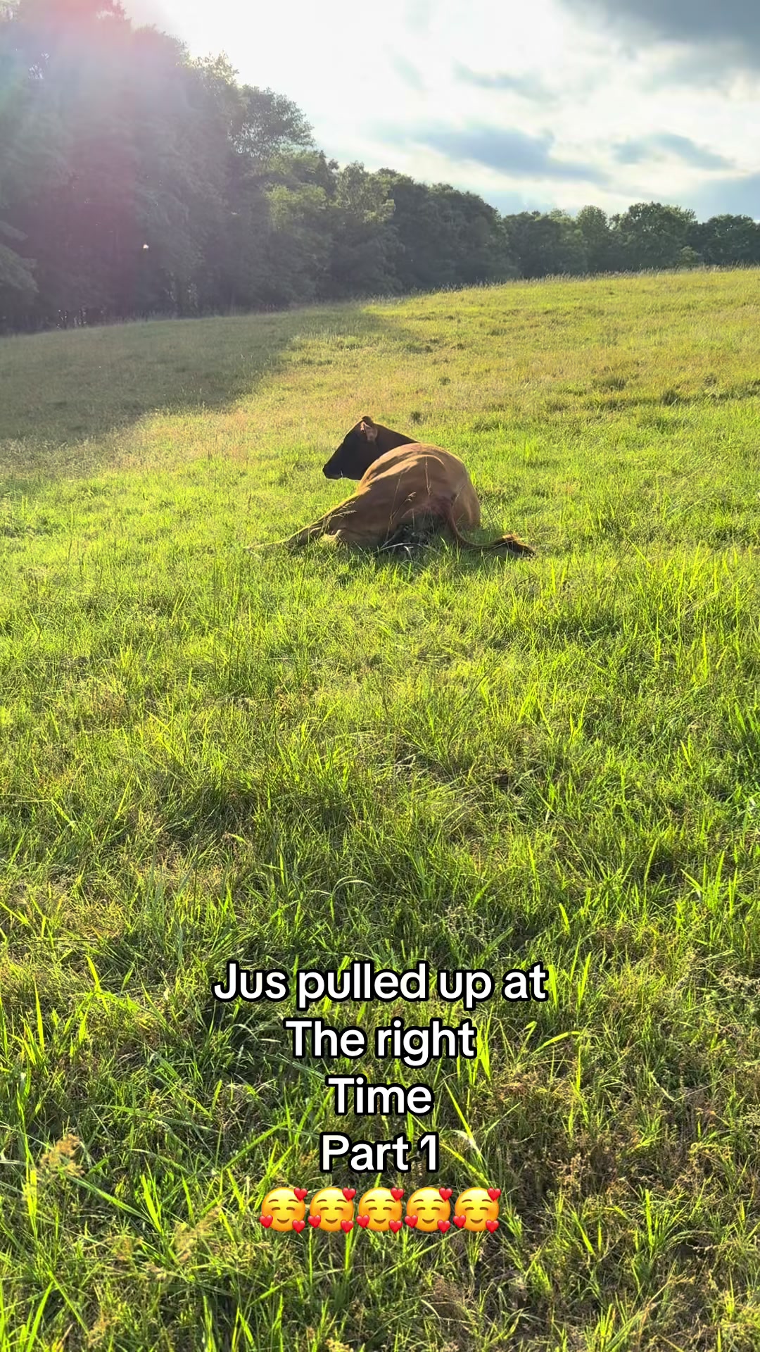 @Joe