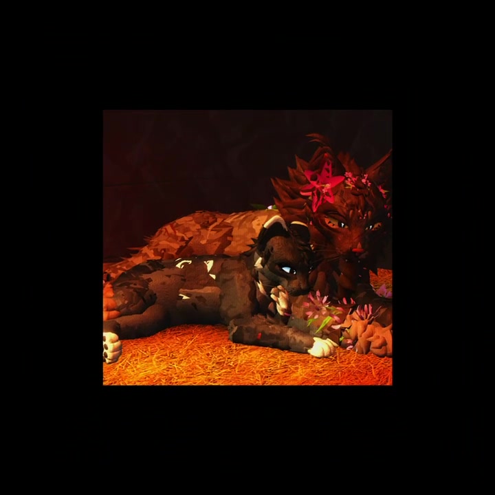 @𝐖𝐚𝐫𝐫𝐢𝐨𝐫 𝐜𝐚𝐭𝐬🐈🐈⬛