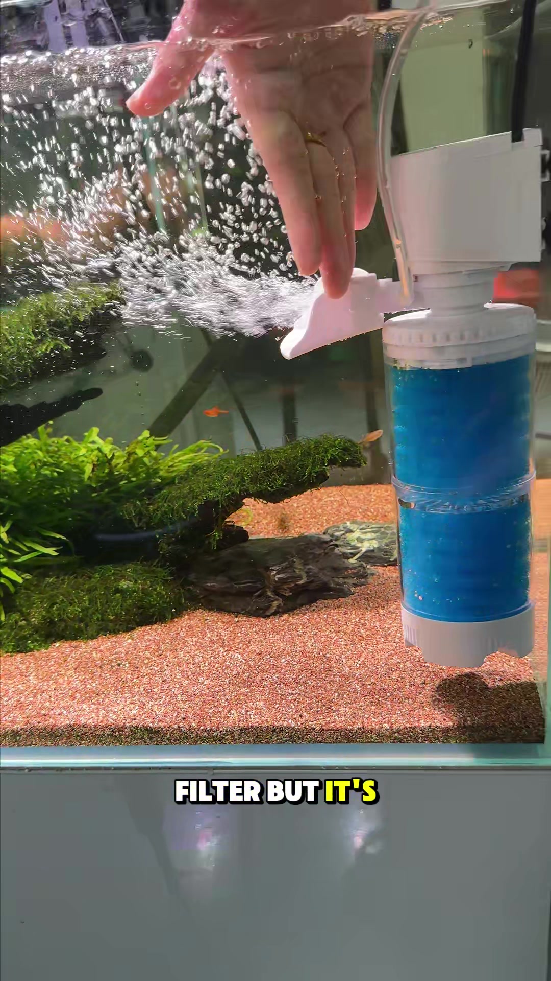 @AQQA Aquarium Store