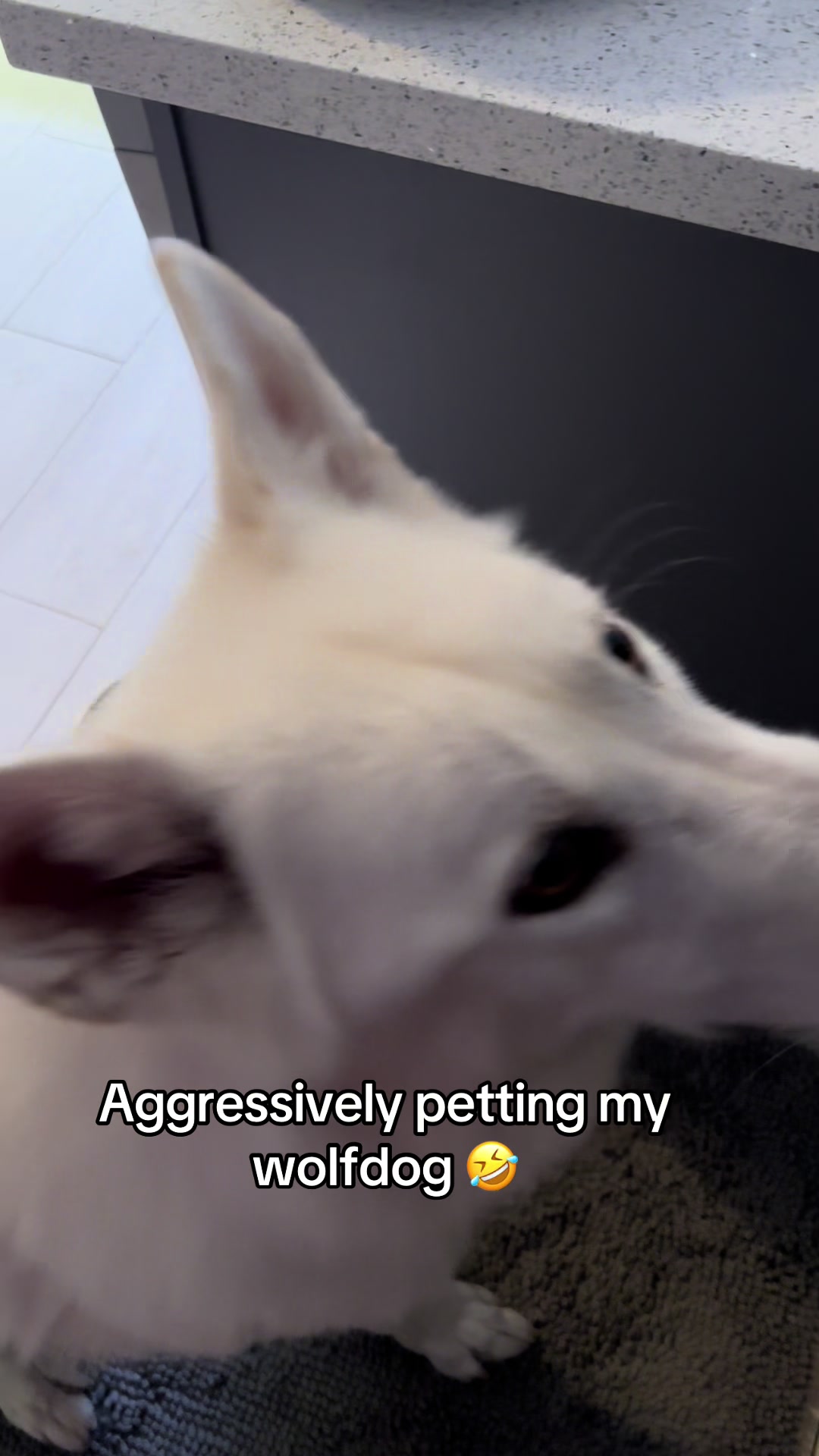@Loki the Flame Keeper 🐺