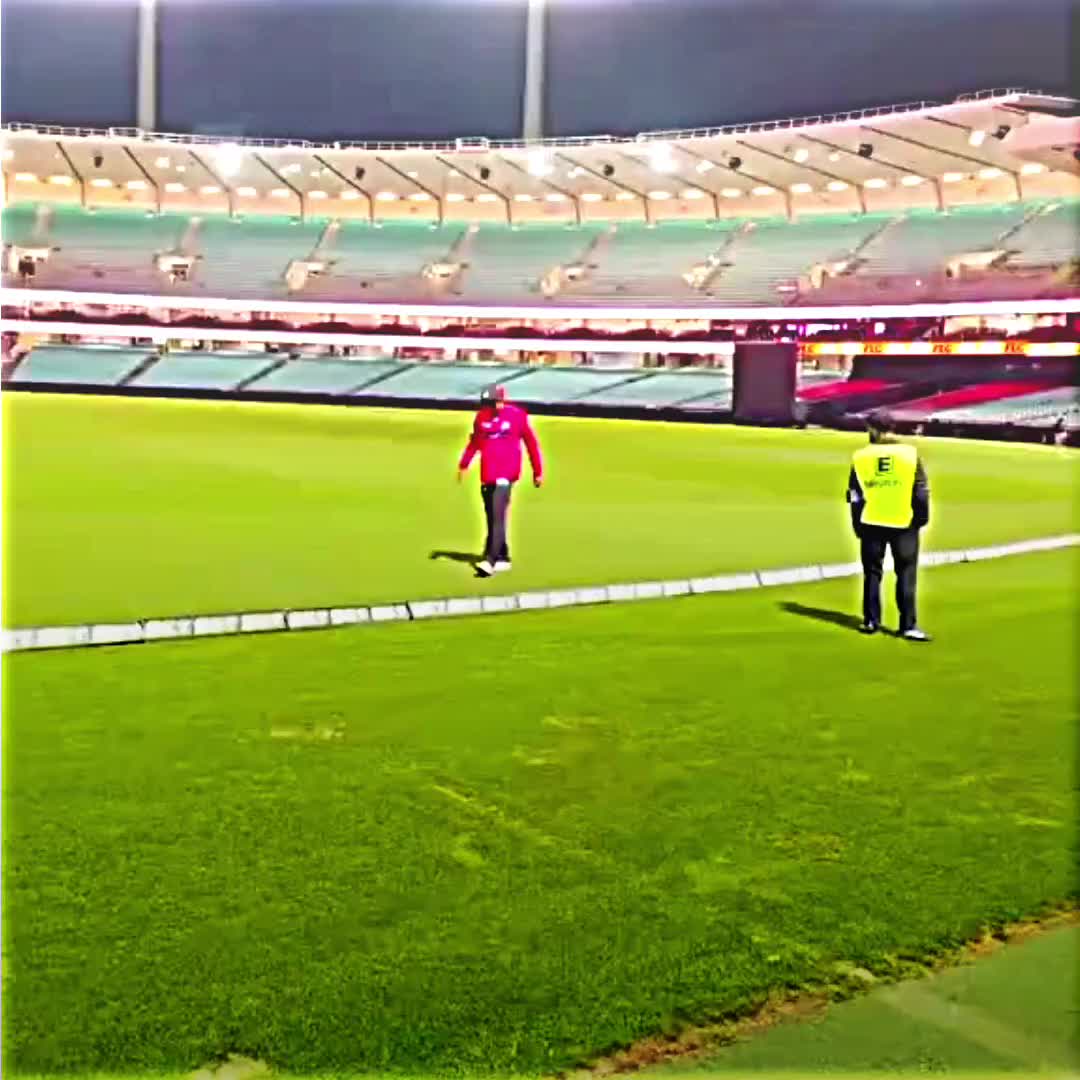 @Cricket 🎶🥰🎵