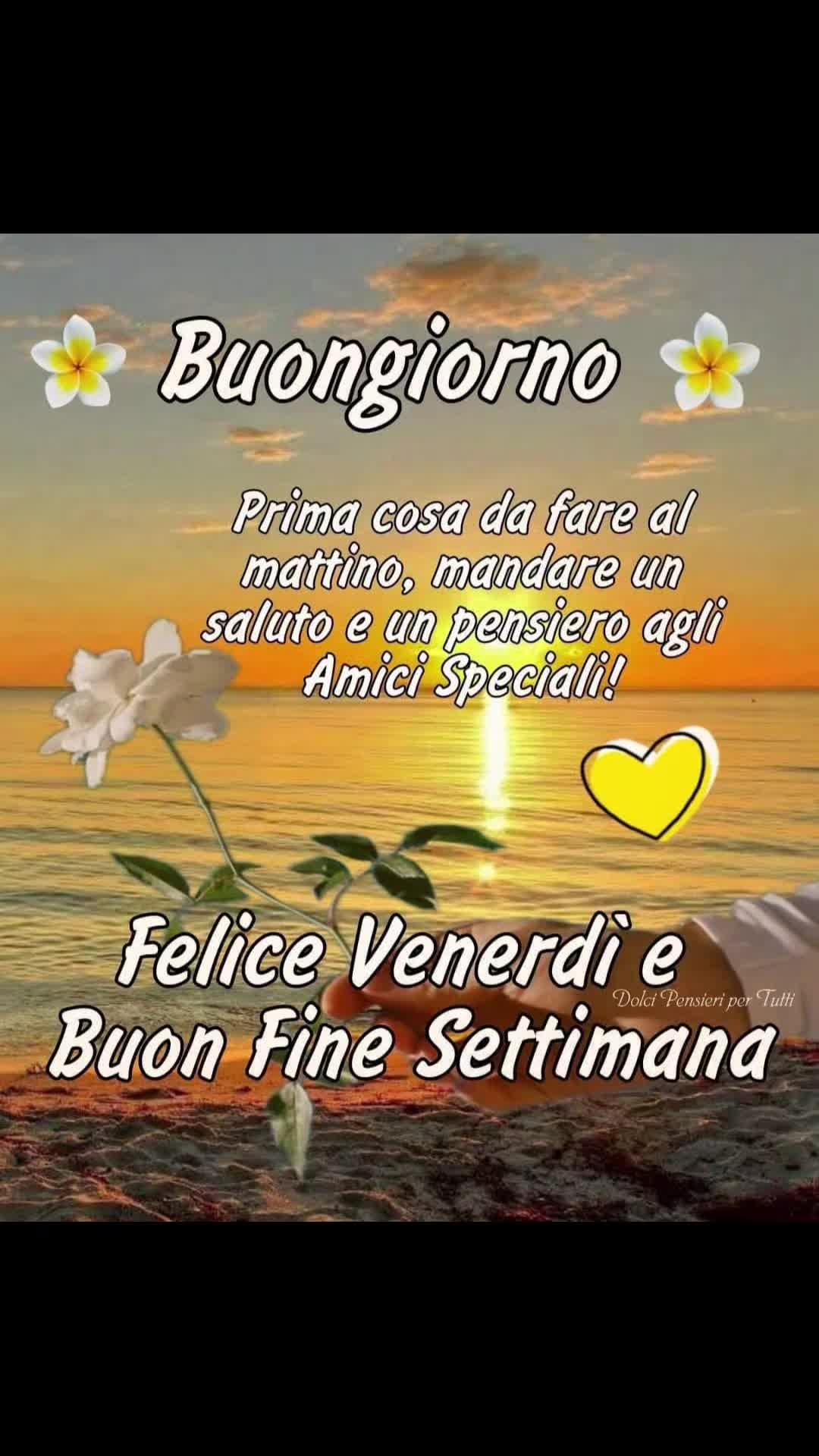 @🌞 Fede