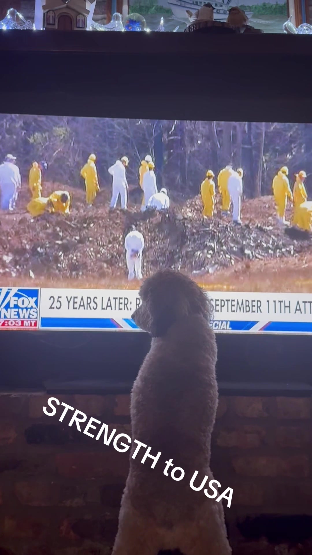 @bigdoodleandlittledoodle