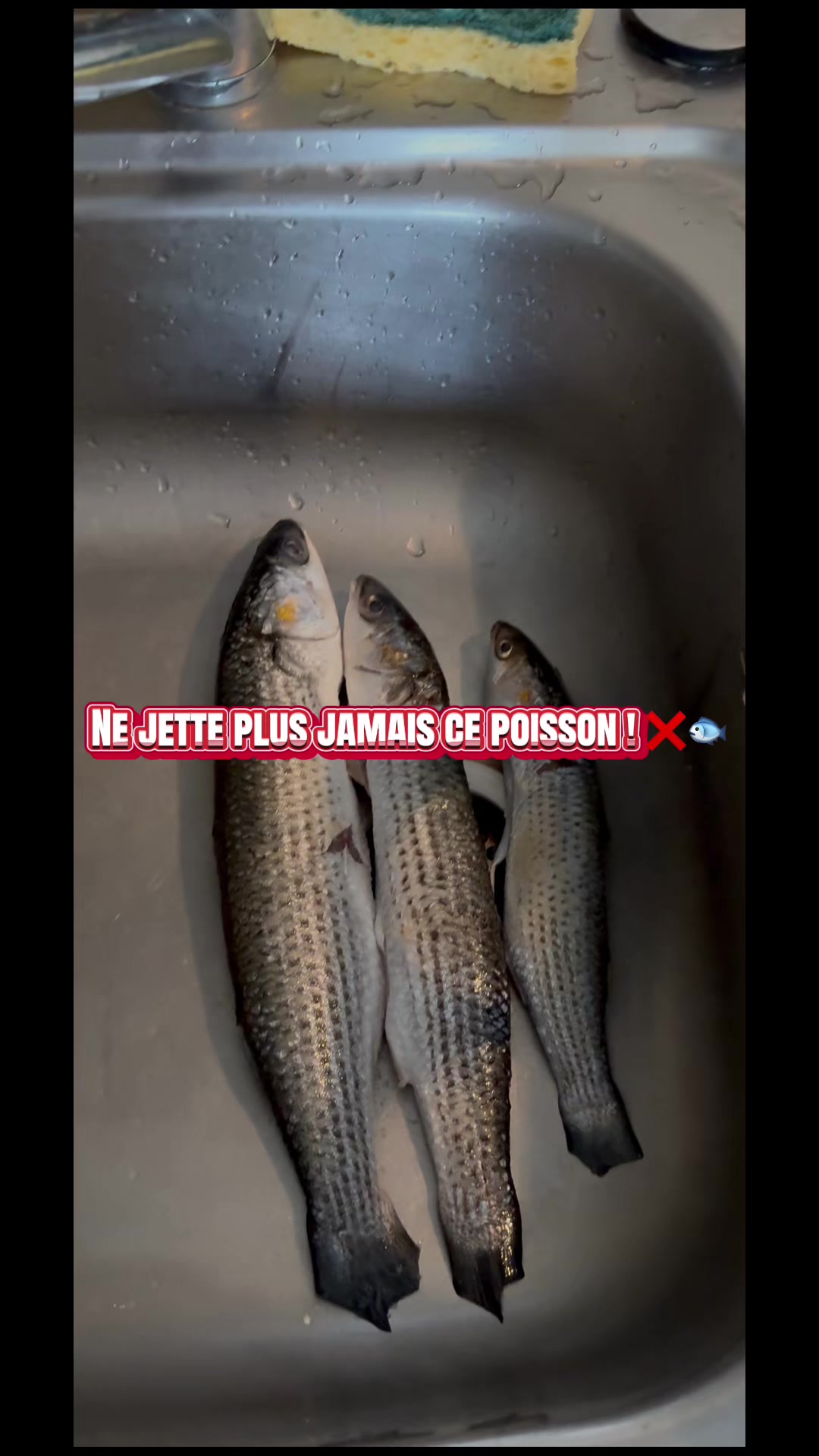 @Accro’Pêch 66