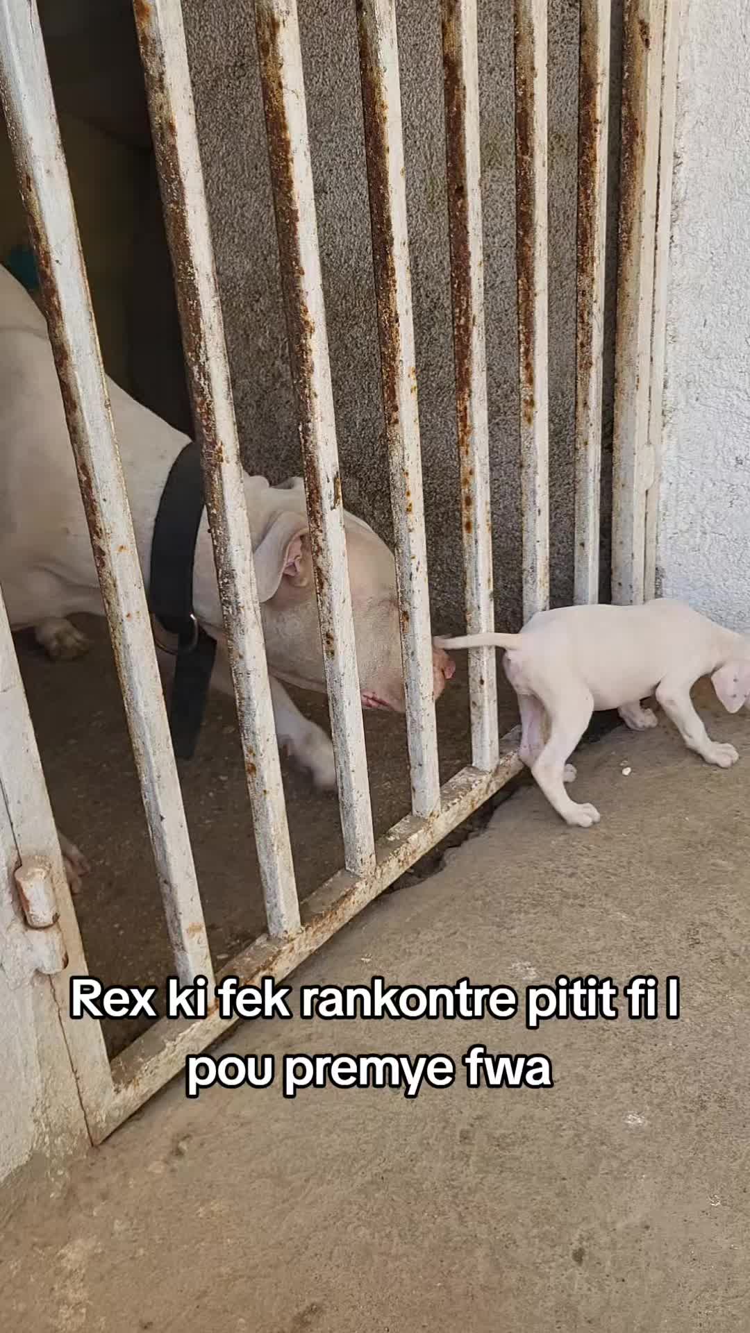 @Bendog