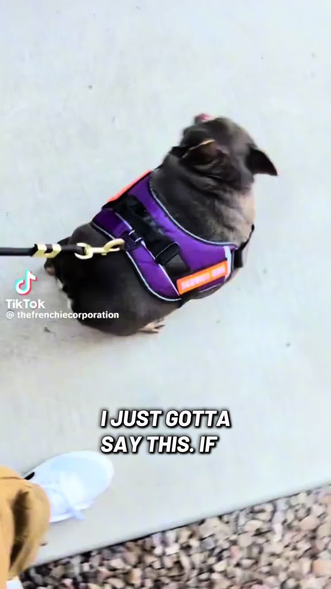 @lex 🐺⛓️