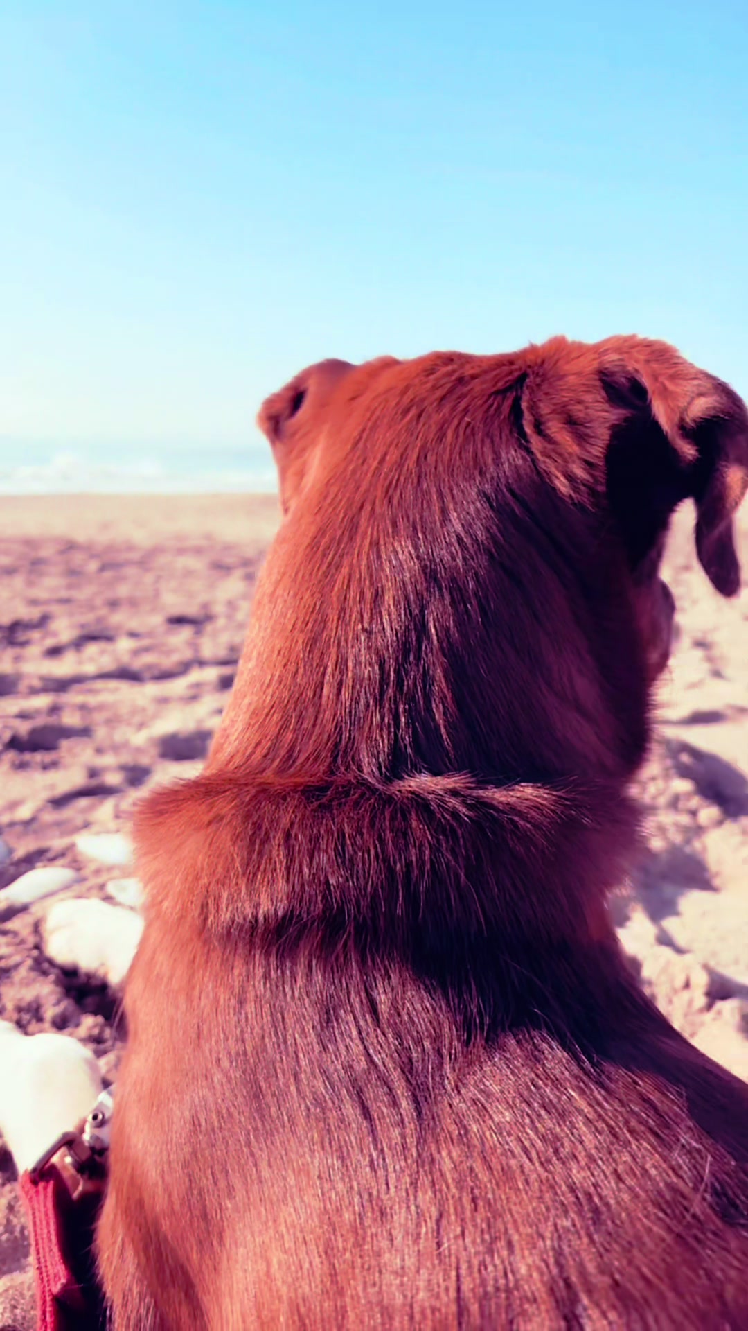 @🤍BRIANNA