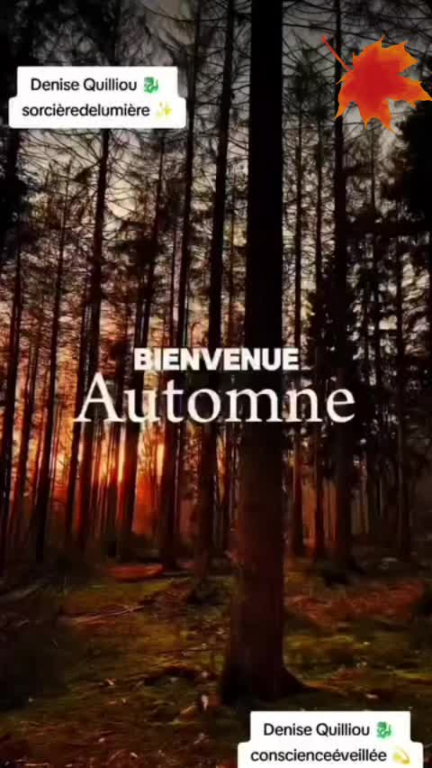 @Lauret Denise ✨🐉✨