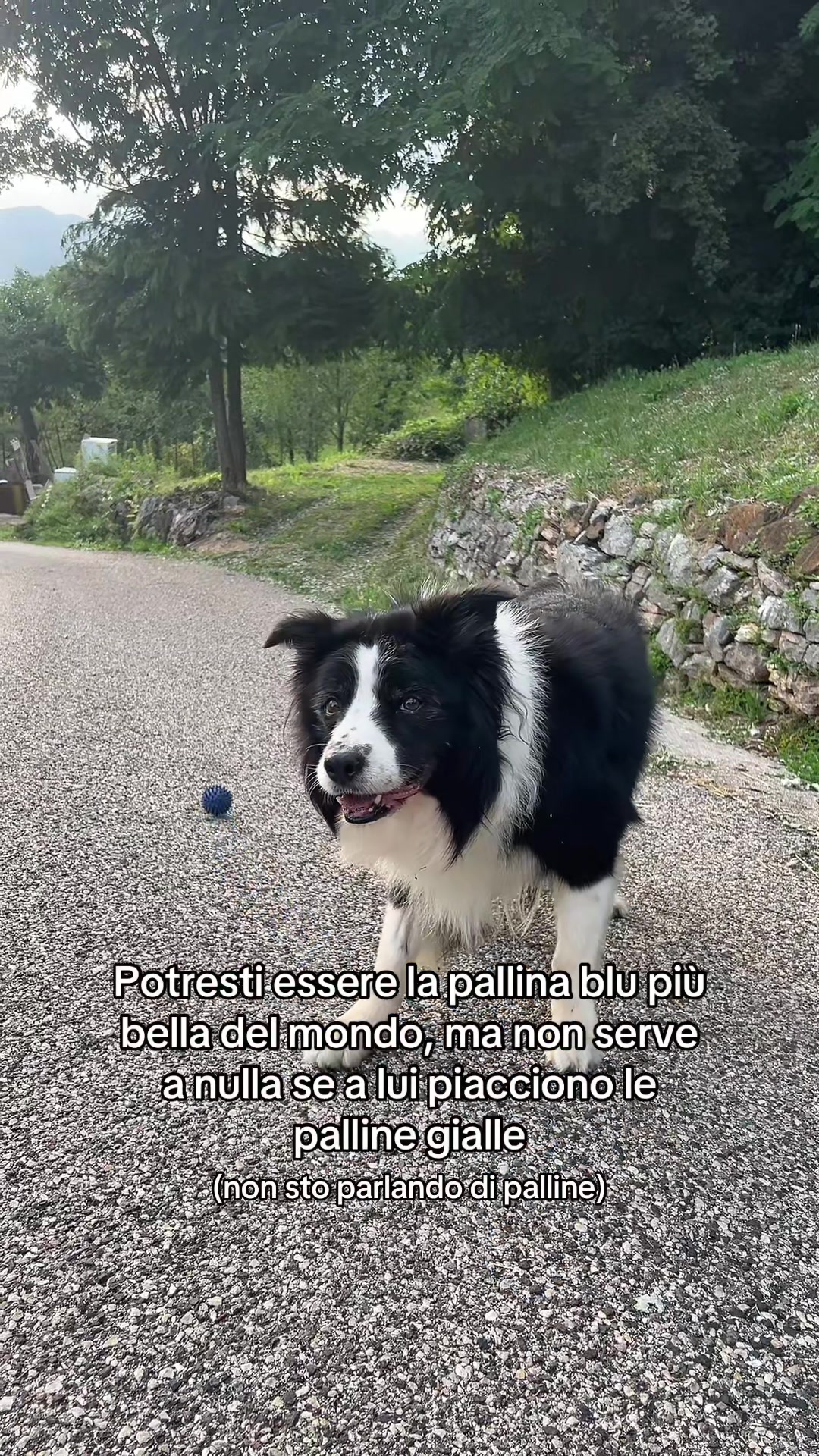 @Giuliomugs