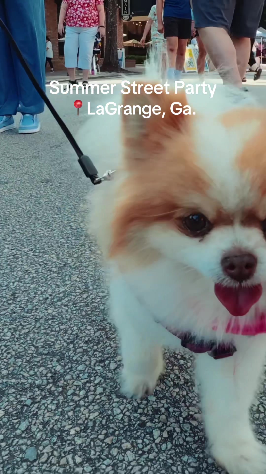 @Visit LaGrange