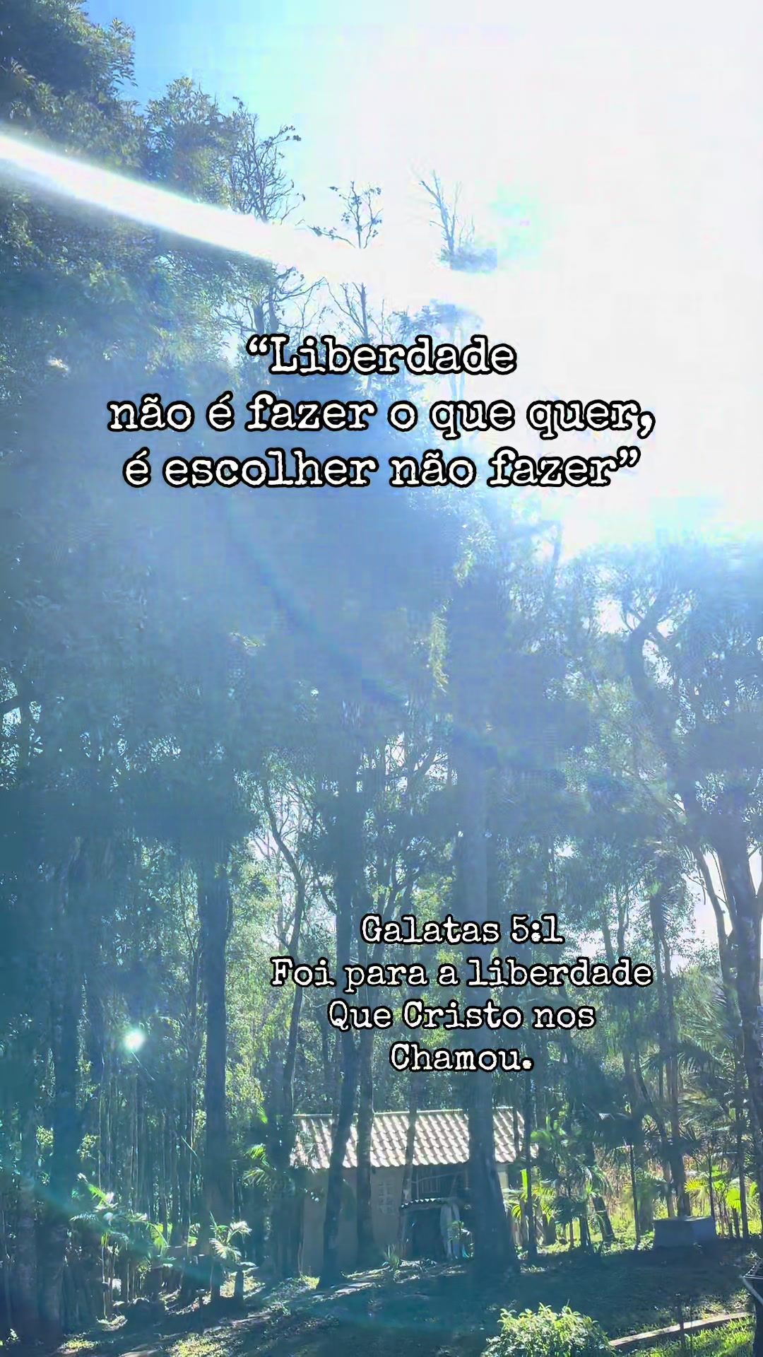 @Fr@ncielle Alves