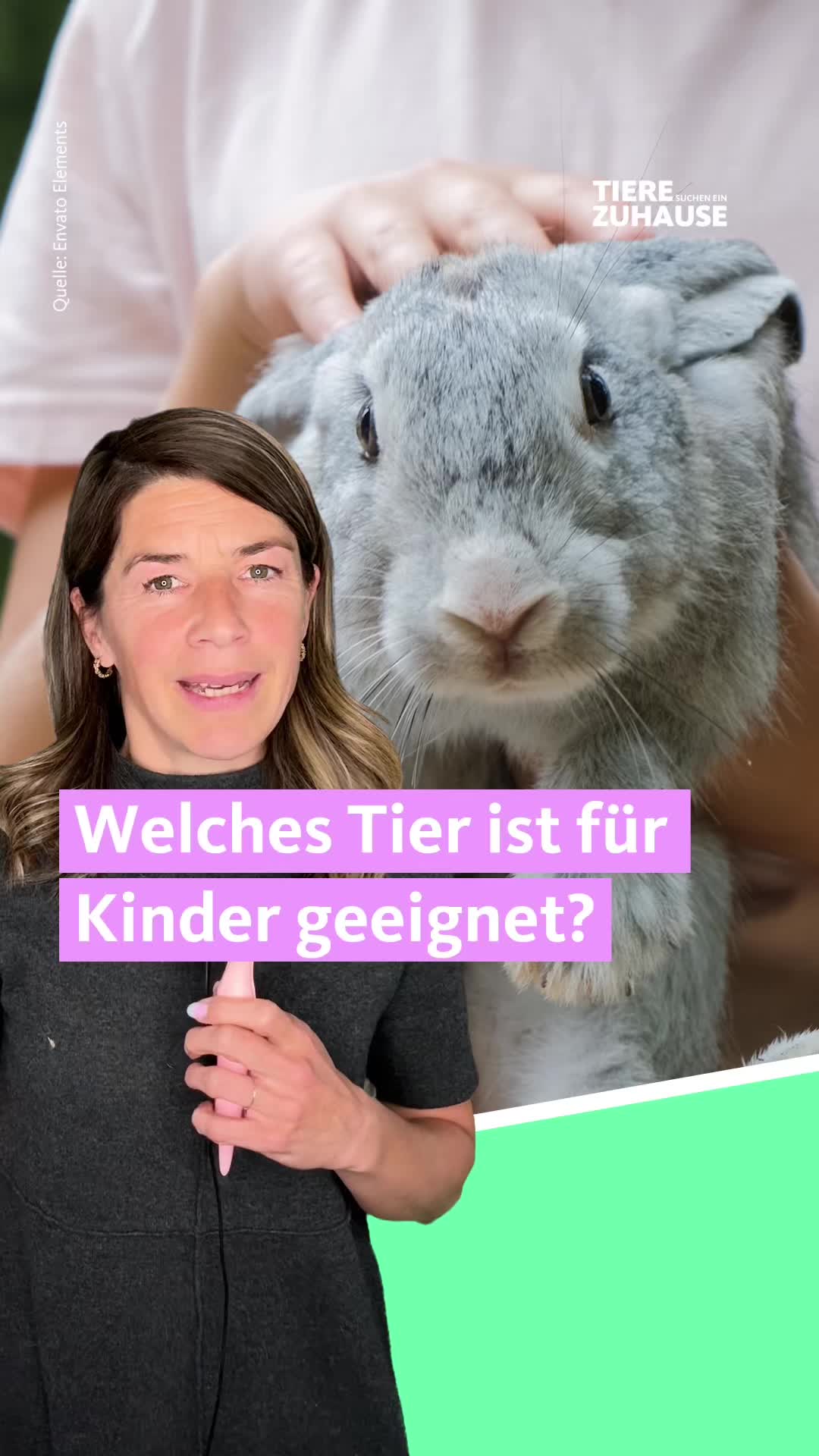 @Tiere suchen ein Zuhause