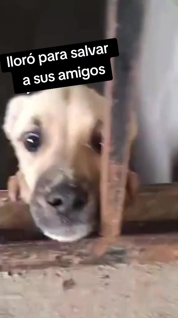 @Gloria Arellano Ramirez