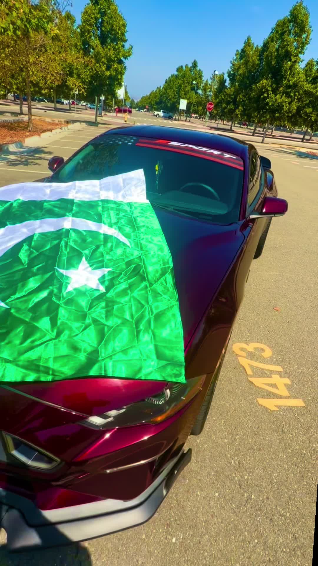 @🇵🇰Hamza🇺🇸