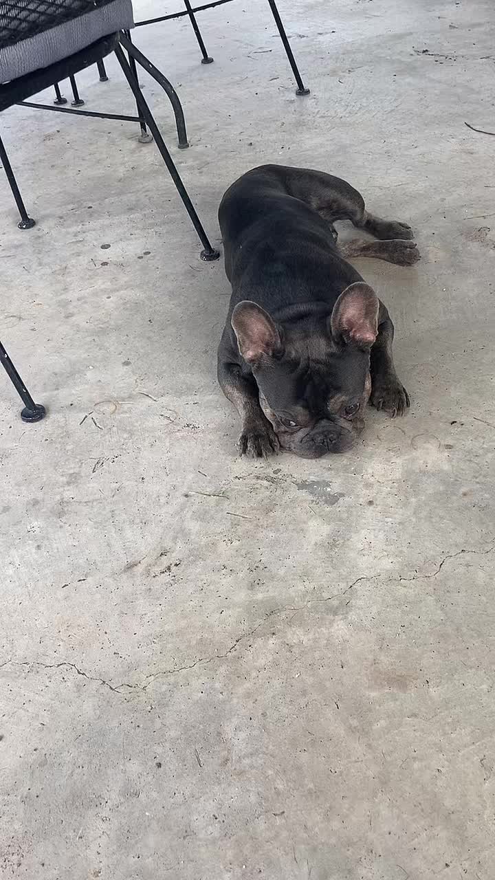 @Opie De Hoyos