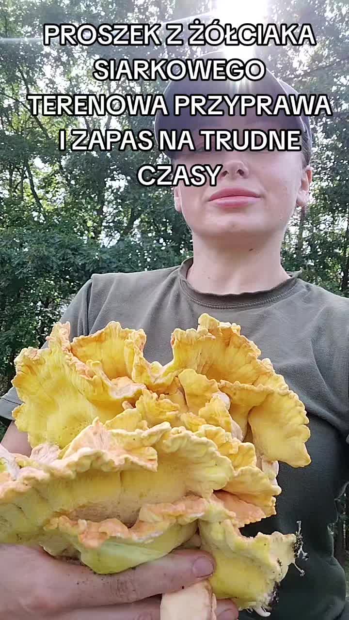@Zielsko Szeptuchy