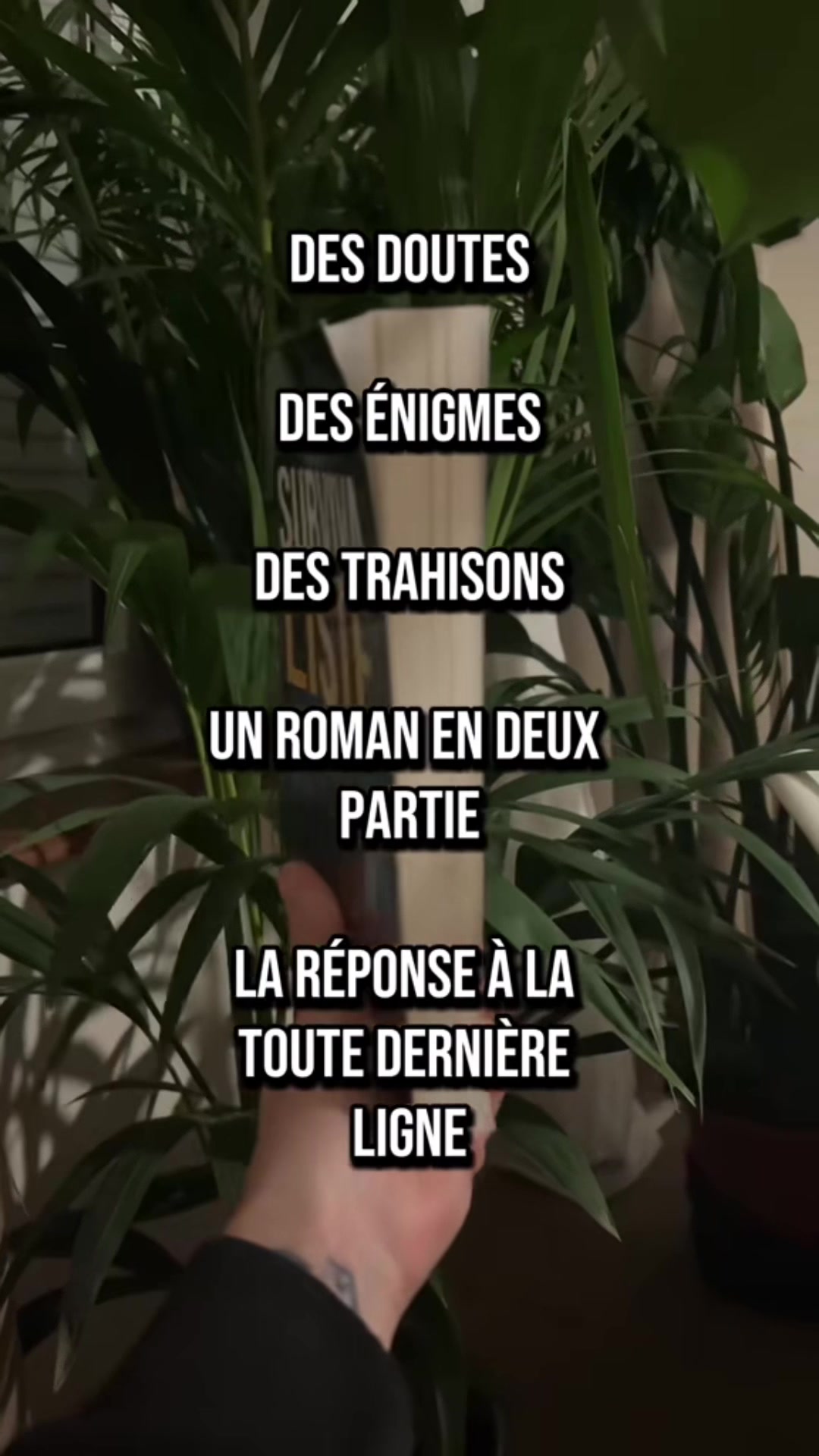@Noémie Bourgois Autrice