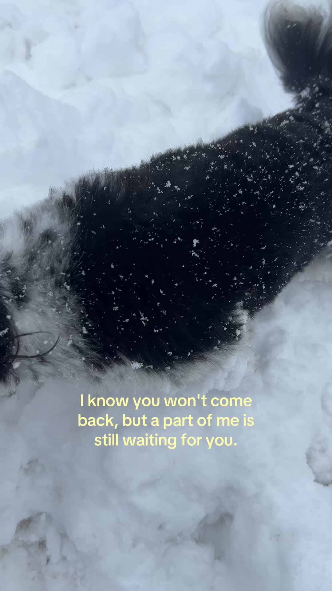 @່