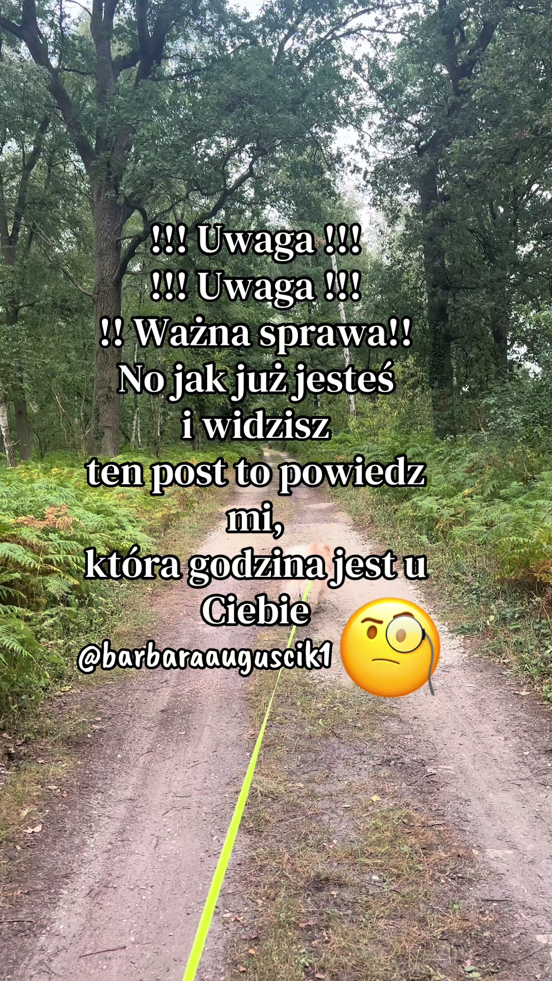 @barbaraauguscik1🇵🇱🇩🇪