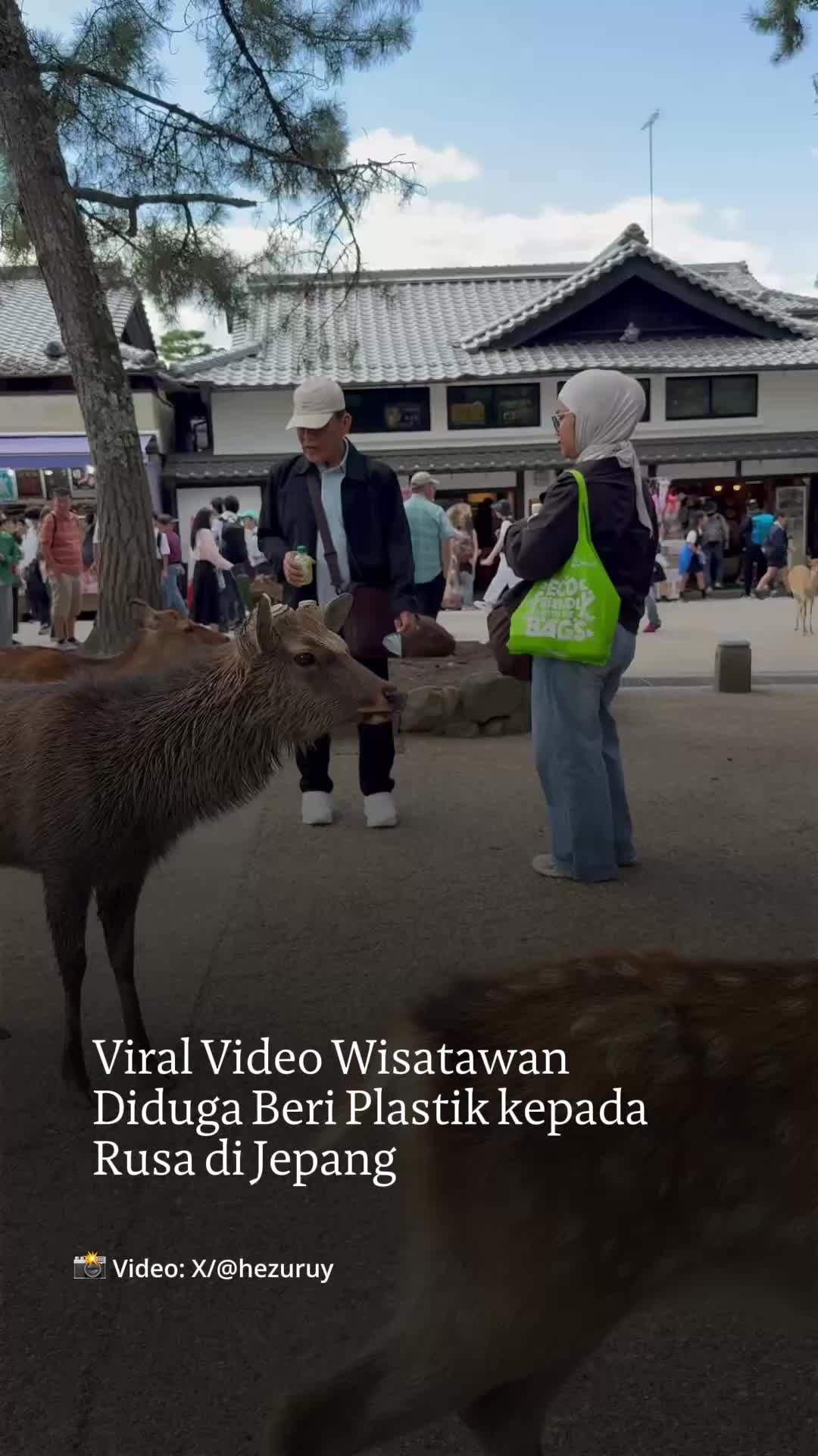@mongabayindonesia