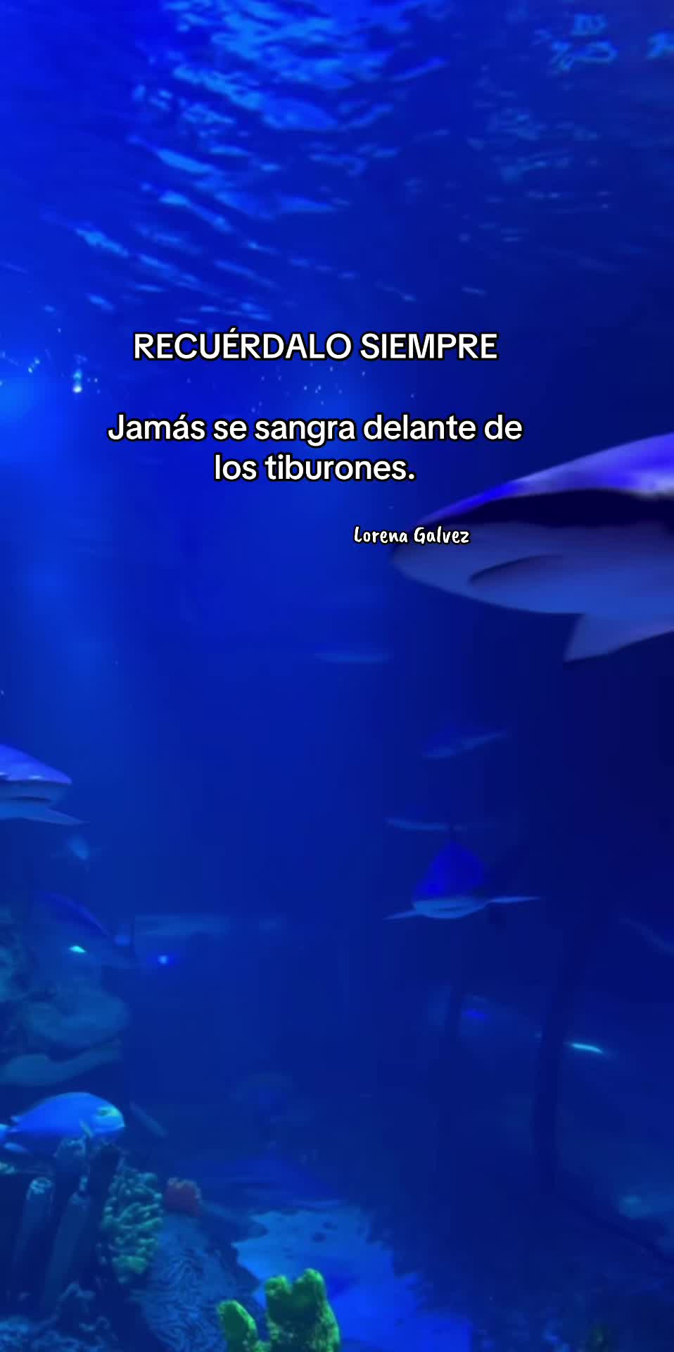 @𝙇𝙊𝙍𝙀𝙉𝘼 𝙂𝘼𝙇𝙑𝙀𝙕ᥫ᭡