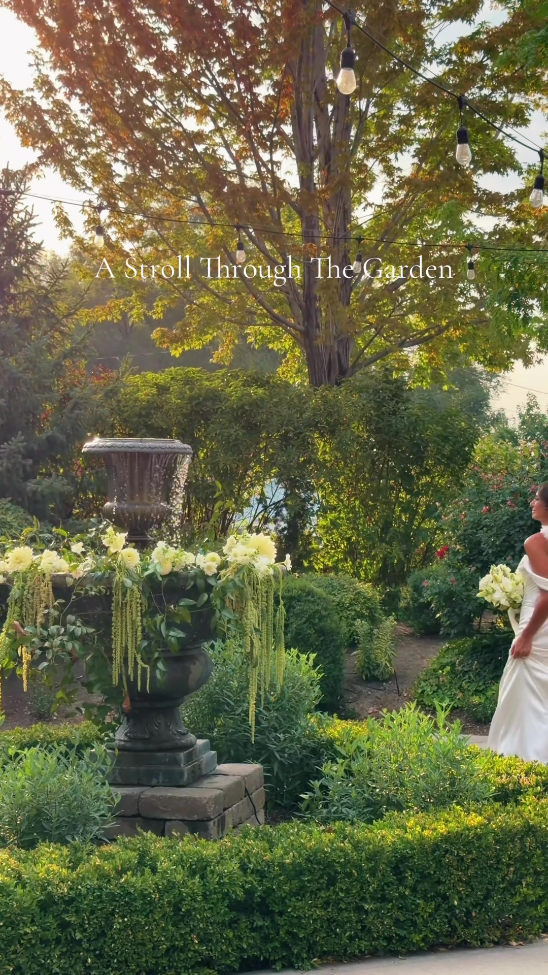 @Ali Montemayor Photography