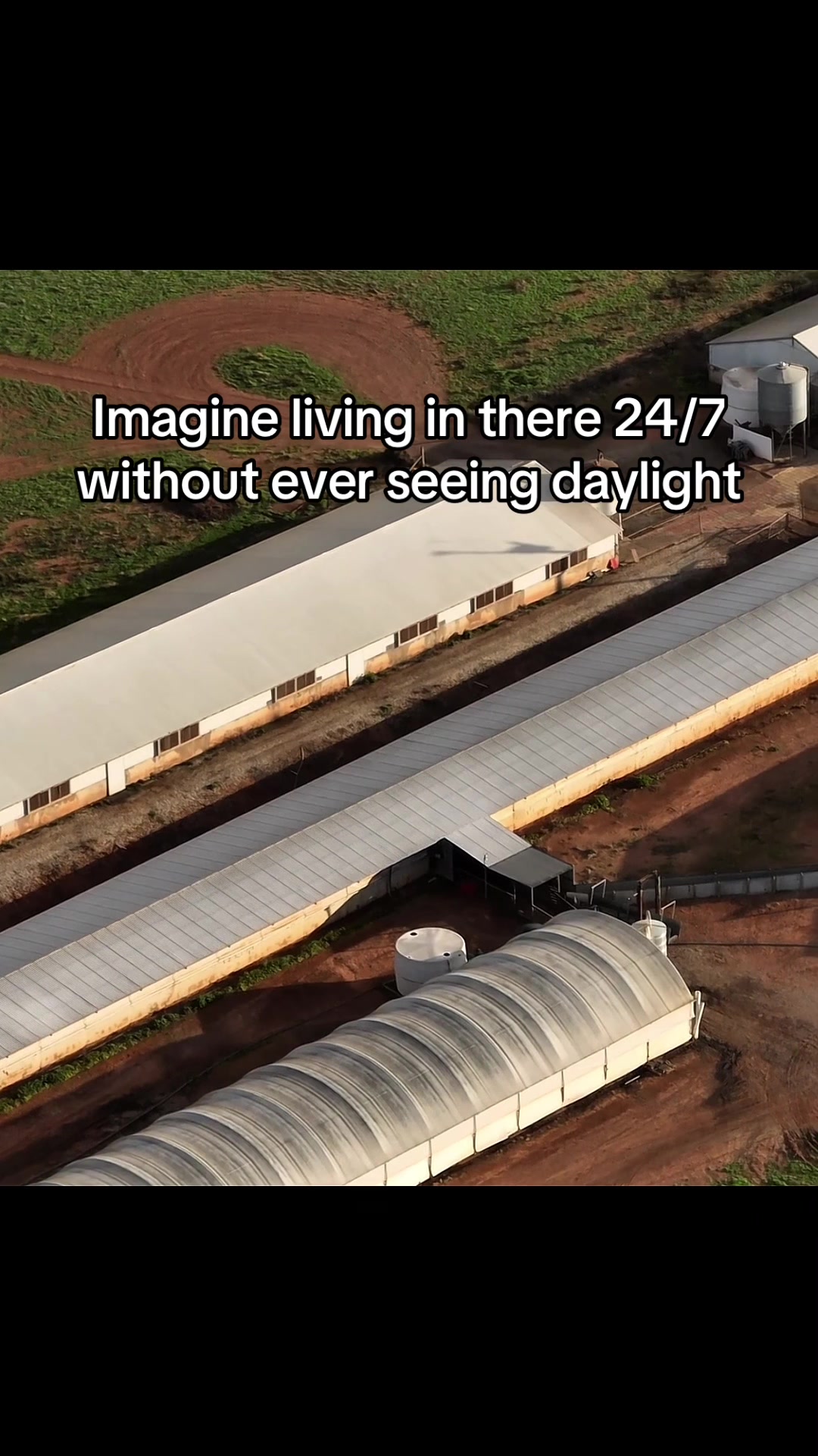 @Meat Sucks