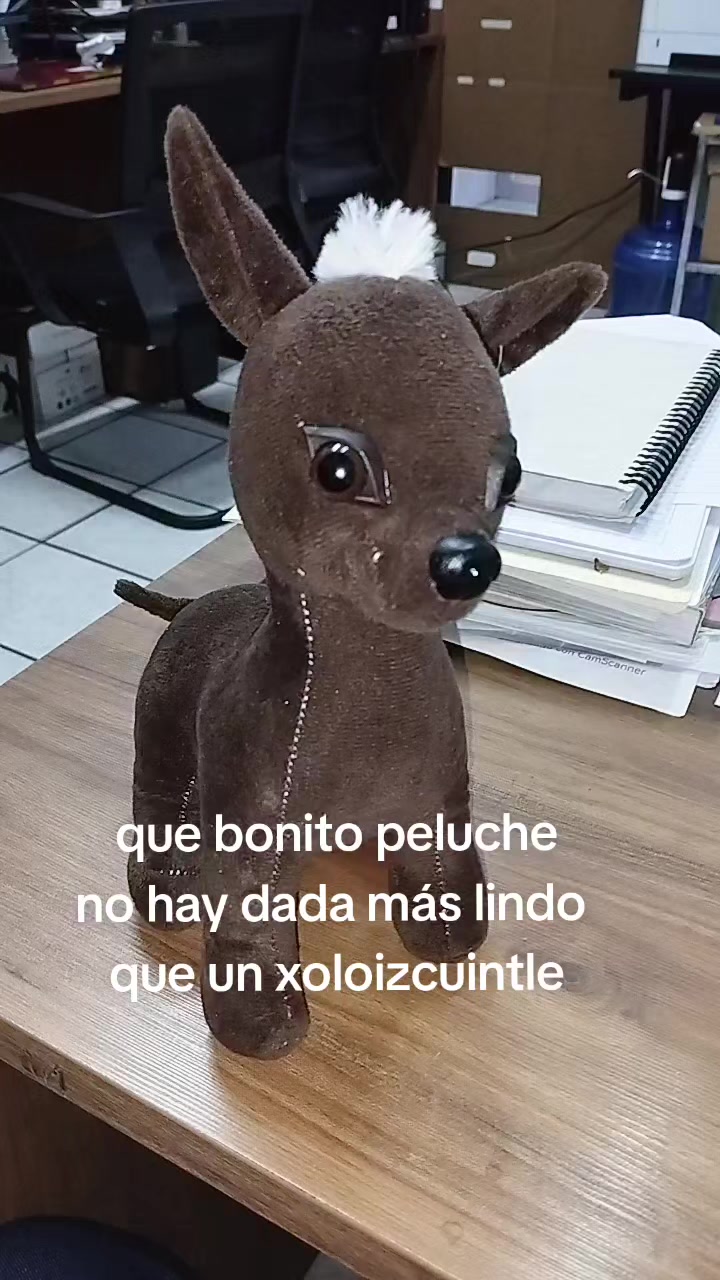 @Rompiendo ciclos