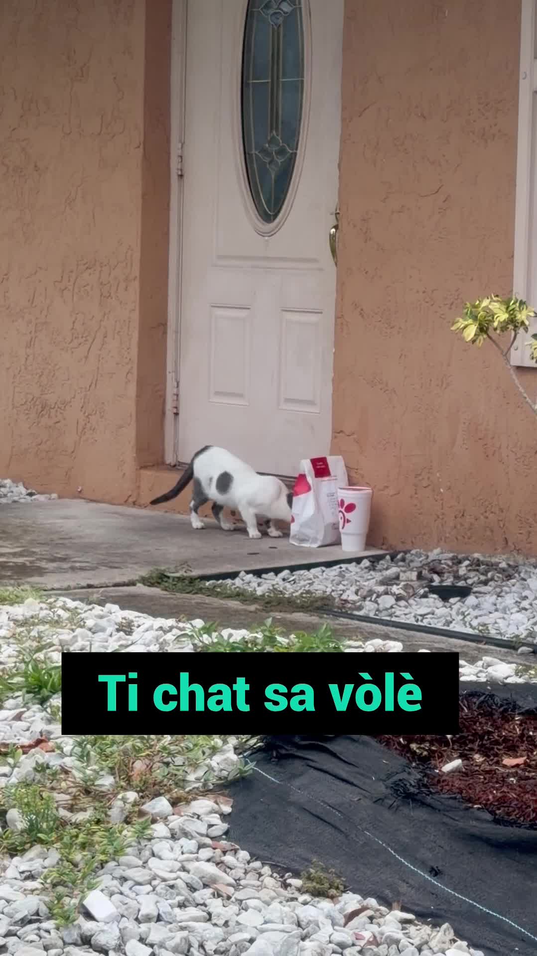 @Jacky 1804